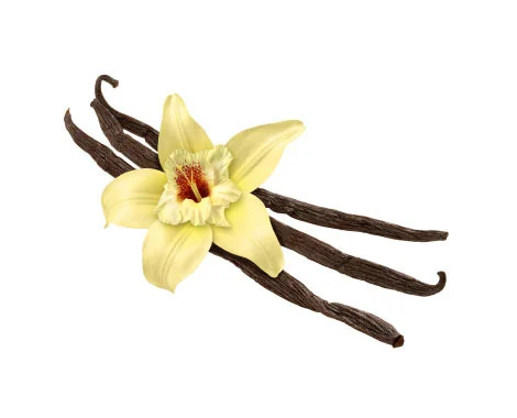 Vanilla Beans (Tahitian)