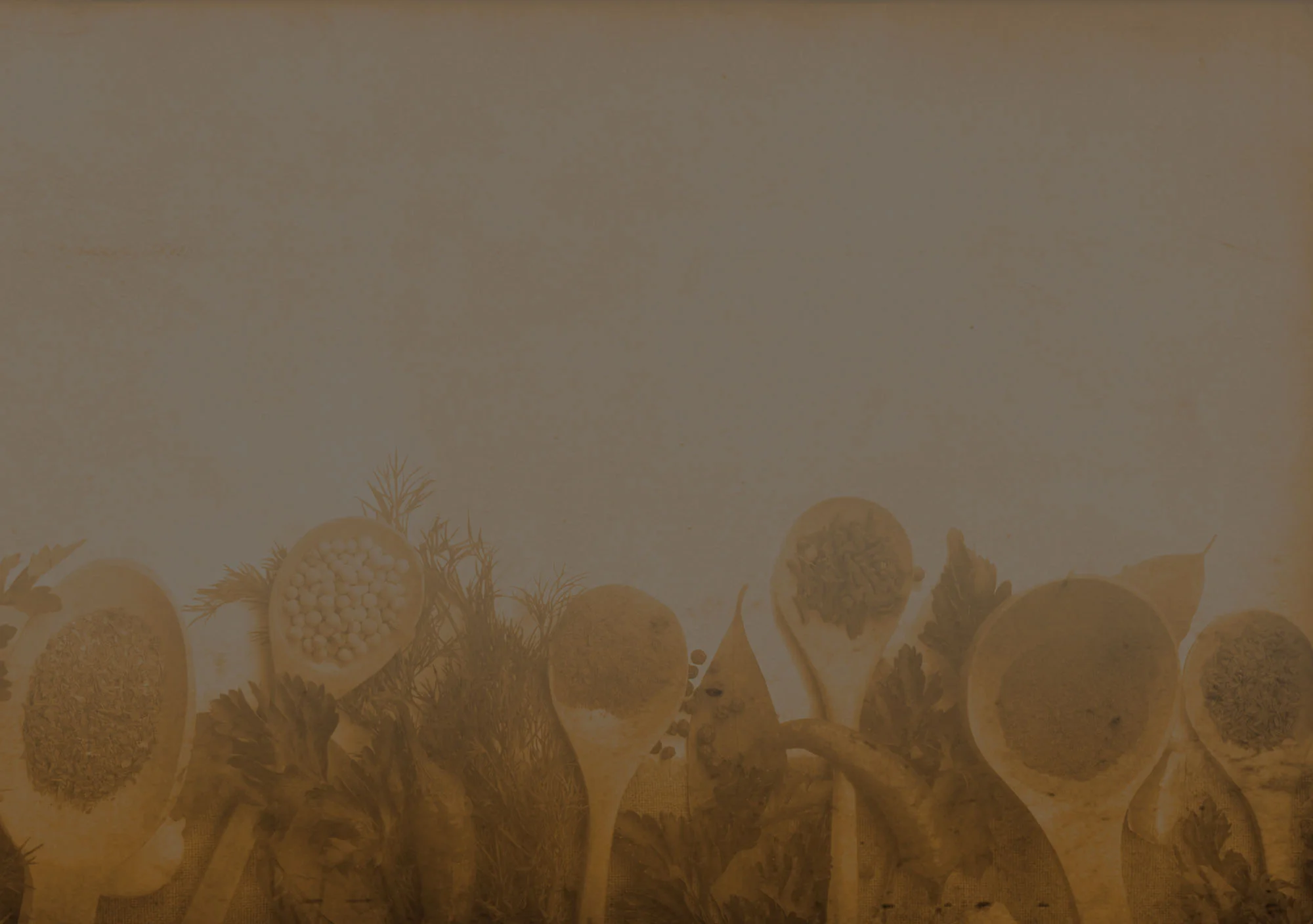 Spice-Background-Faded_website.jpg