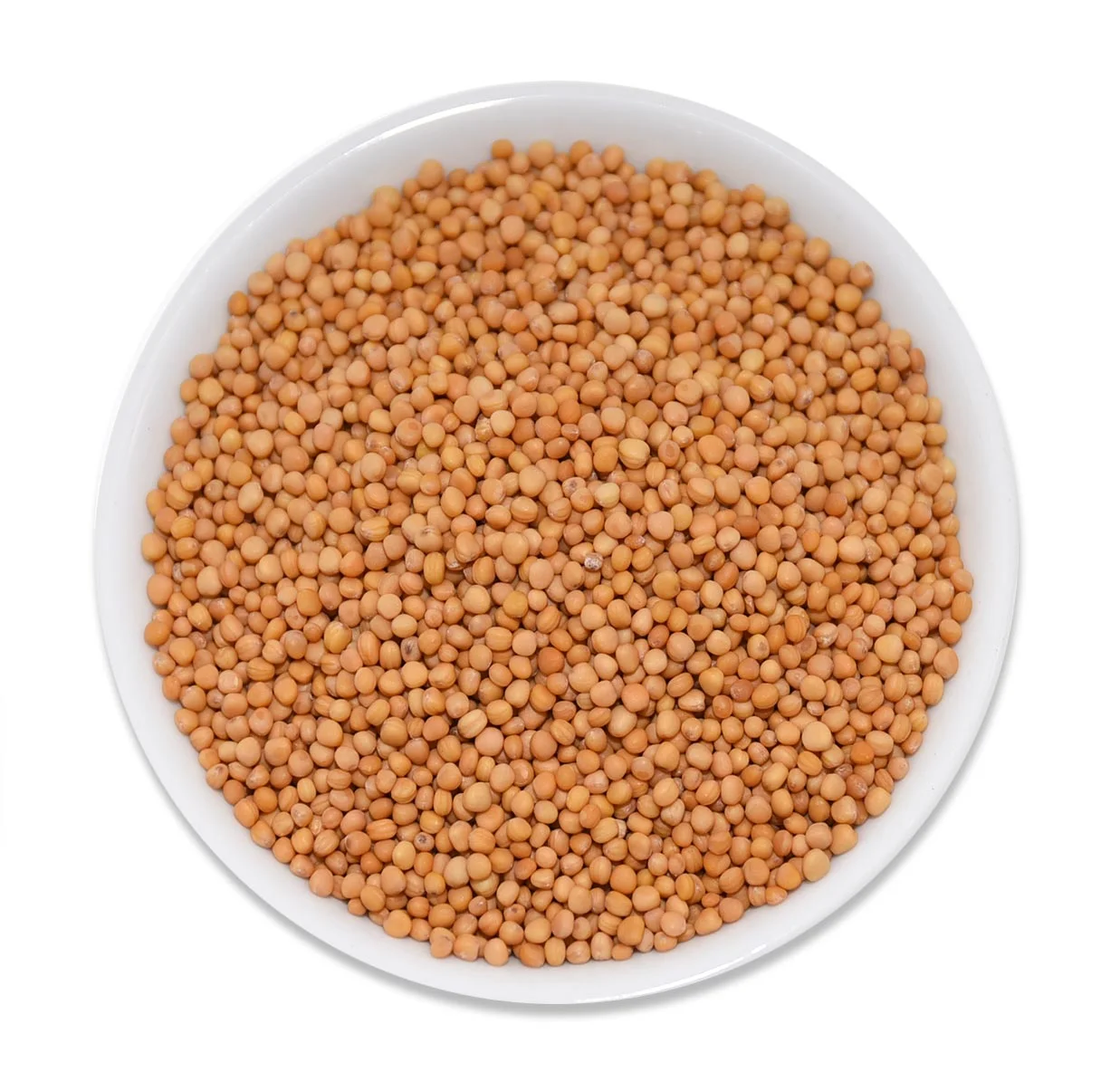 Mustard Seeds (Yellow)