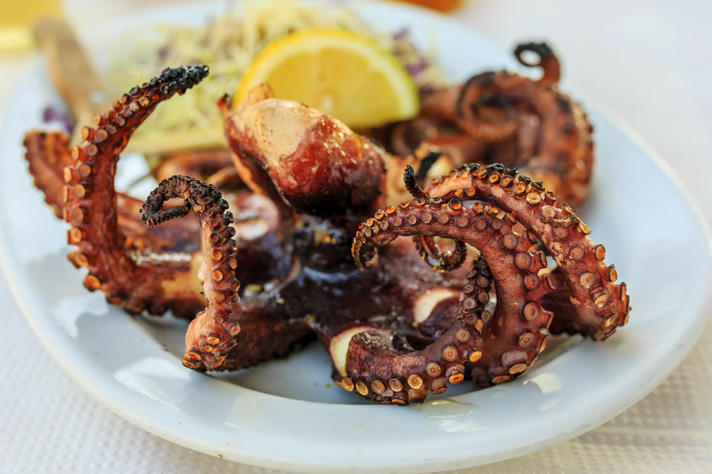 Grilled Greek Octopus