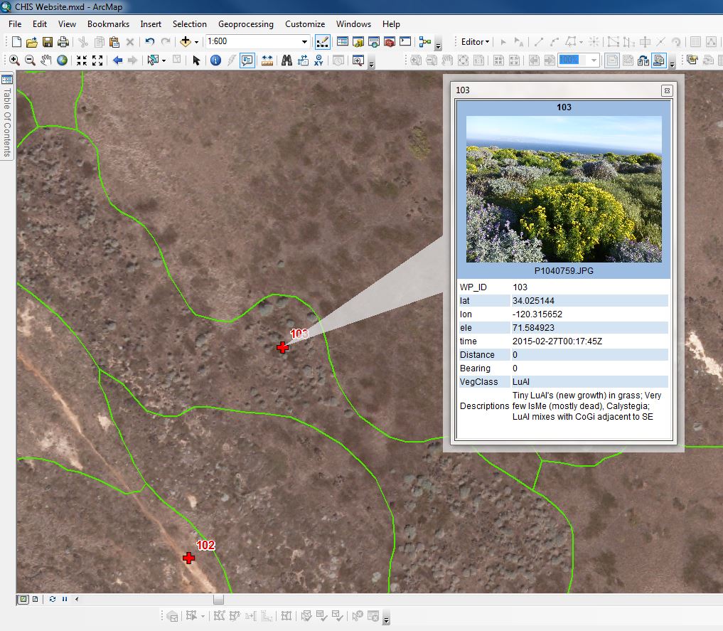 Reviewing field information from Channel Islands National Park