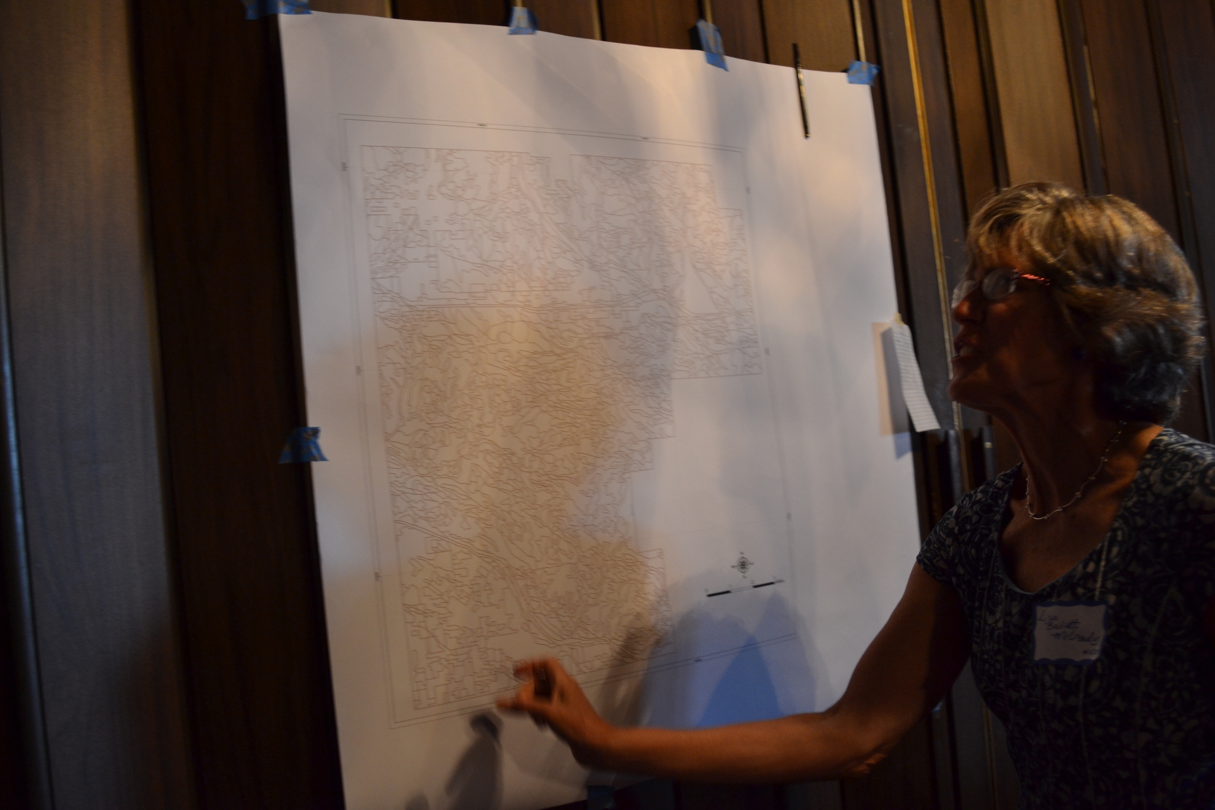 Lisa McCready assessing the number of polygons on a terrain unit manuscript