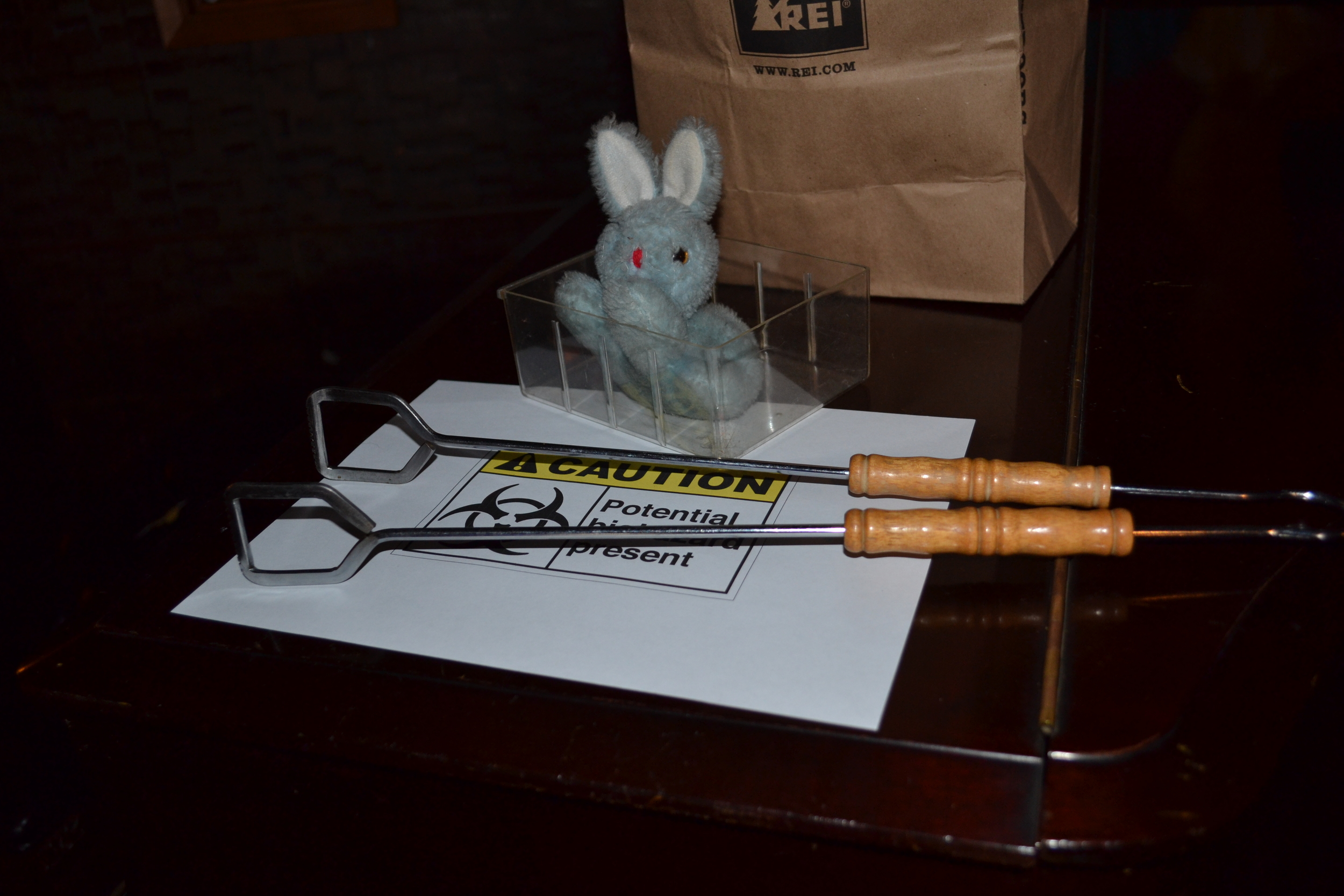 Blue Bunny - handle with care!