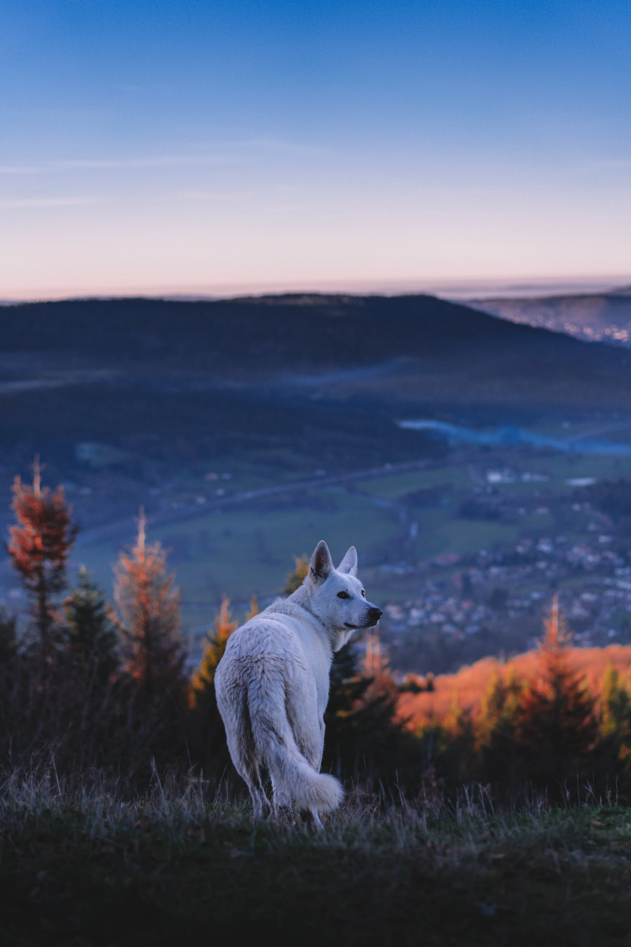 are you 'ecologically bored'?