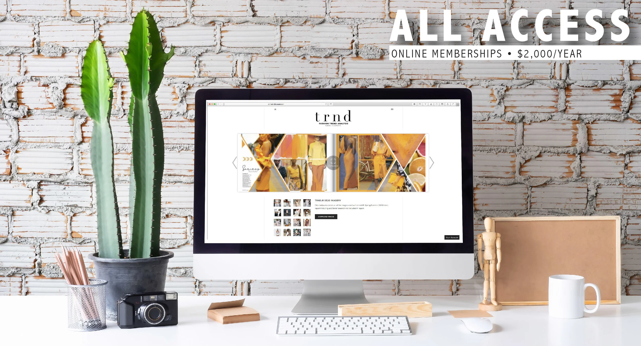 ALLACCESS_WEBPAGE-01.jpg