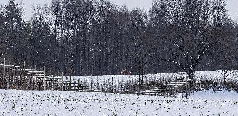 The Creative Day that wasn't planned!