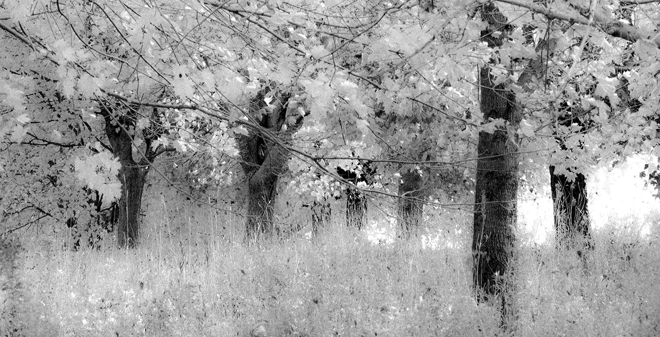 The making of another creative image