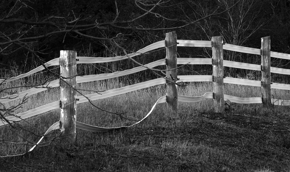 Elements of "art photography" - interesting capture of lines