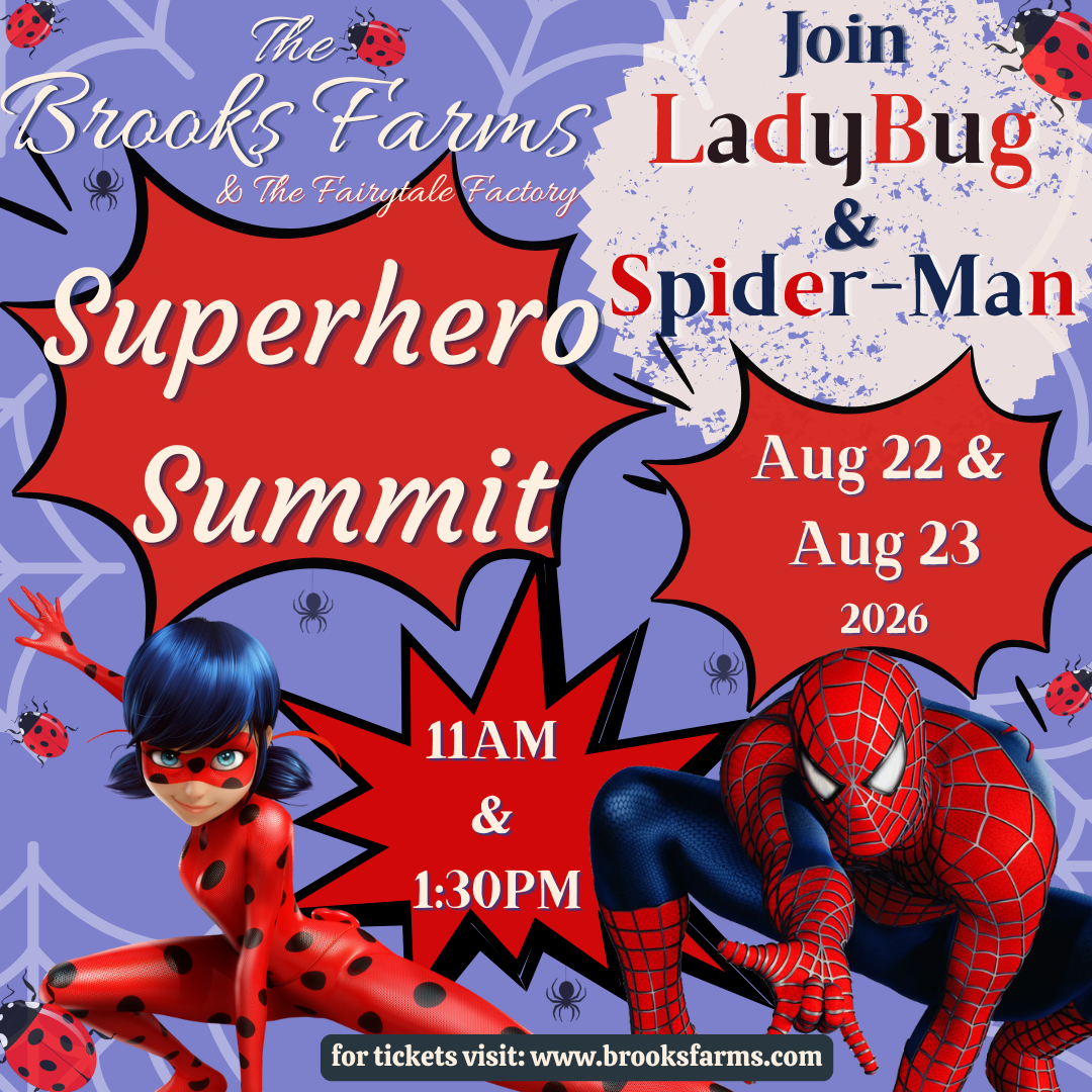 Superhero Summit LadyBug &amp; Spider-Man August 2026