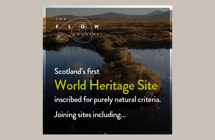 flow-country-3.jpg