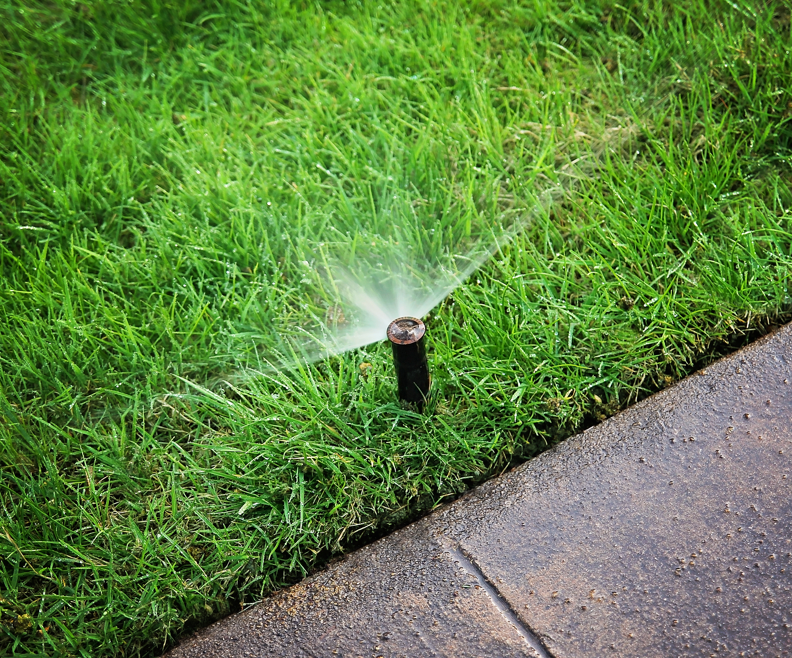 bigstock-an-automatic-sprinkler-waterin-64685347.jpg