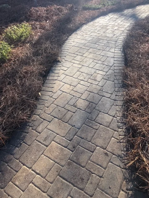 Still tracking in mud?