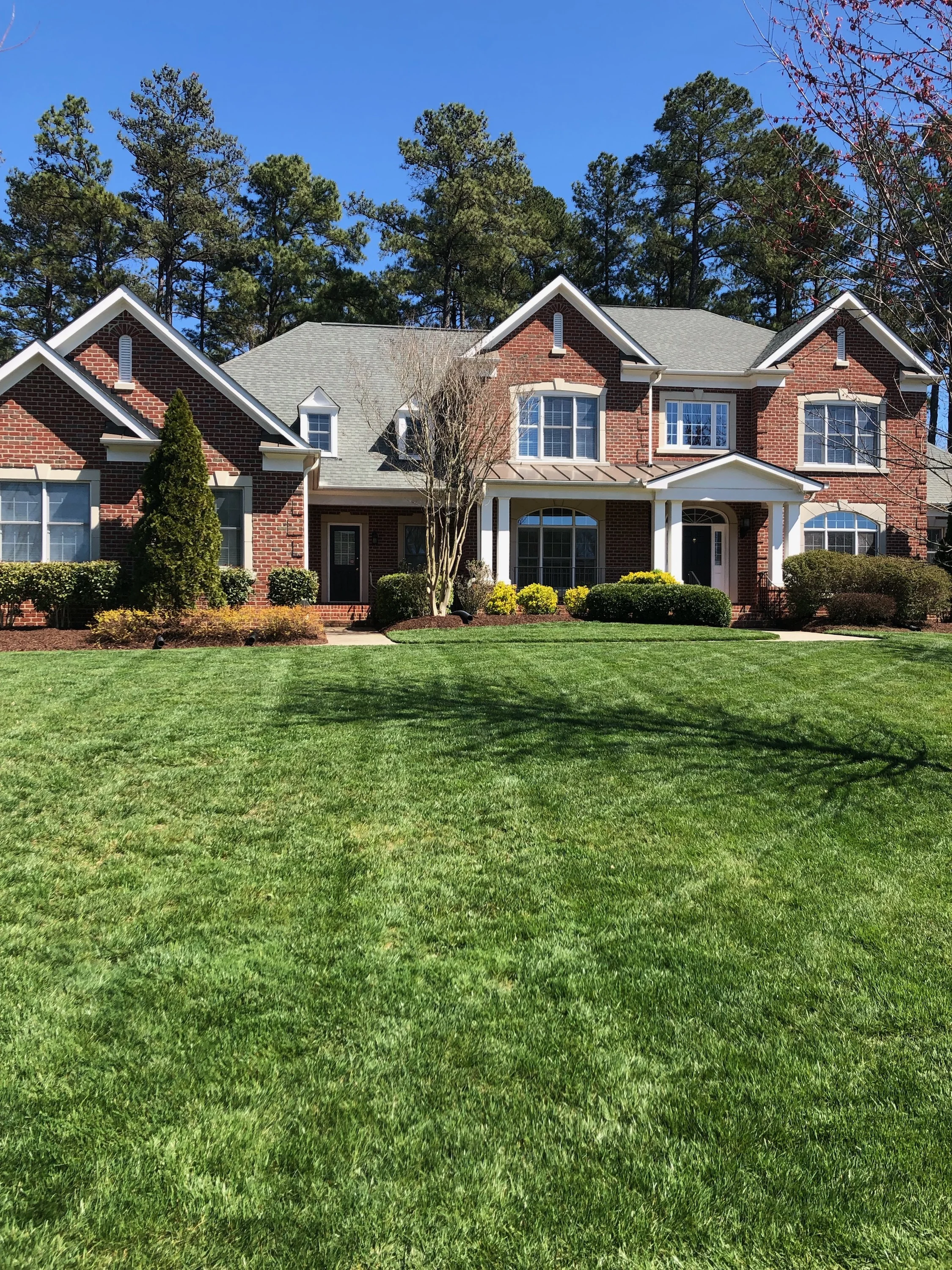 Does your yard look like this?