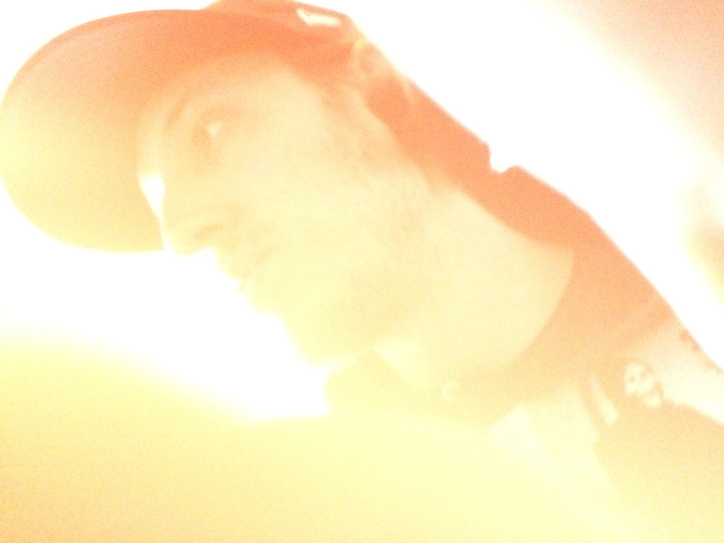 2017-03-20_10-37-58_173.jpeg