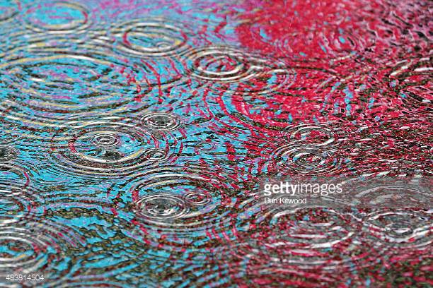 Photo by Dan Kitwood/Getty Images News / Getty Images