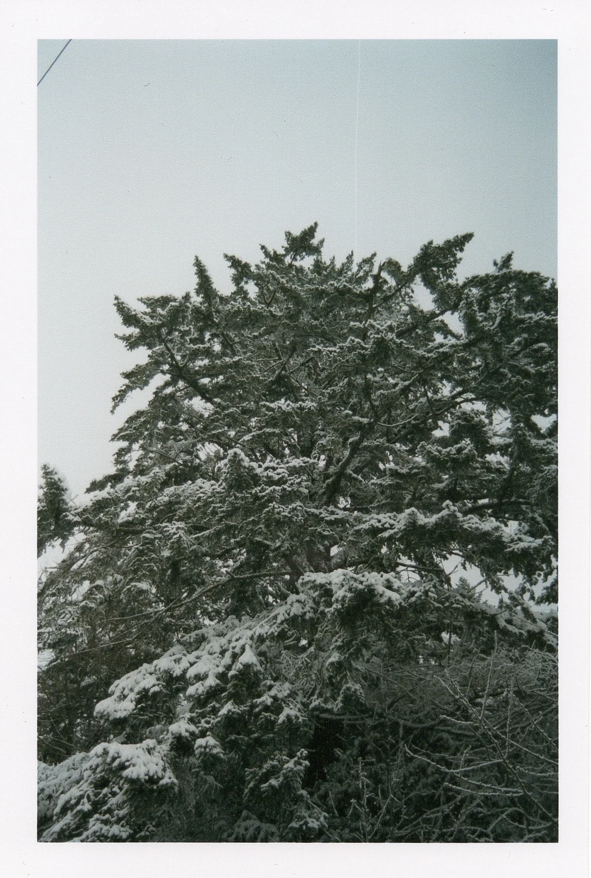 winterfilm-5.jpg