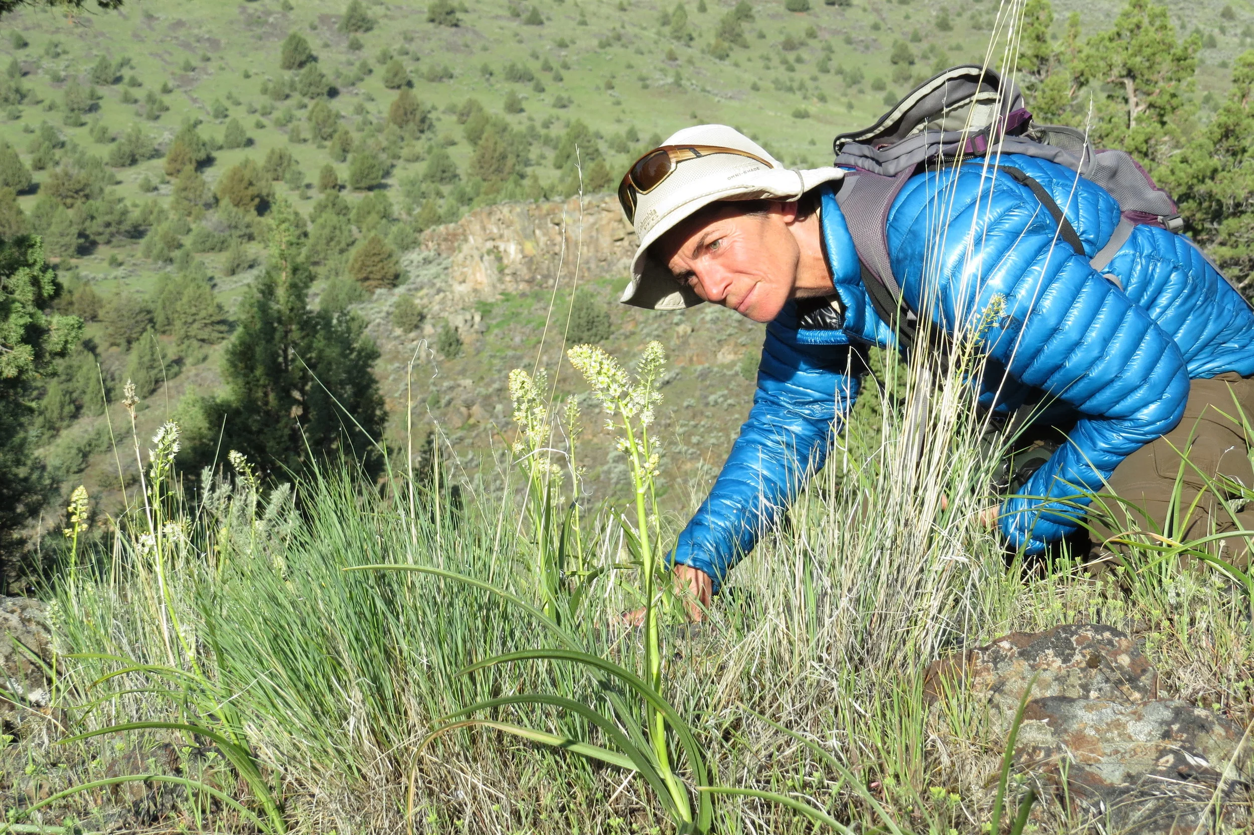 Our Herbalism Instructors — The Arctos School of Herbal and Botanical Studies