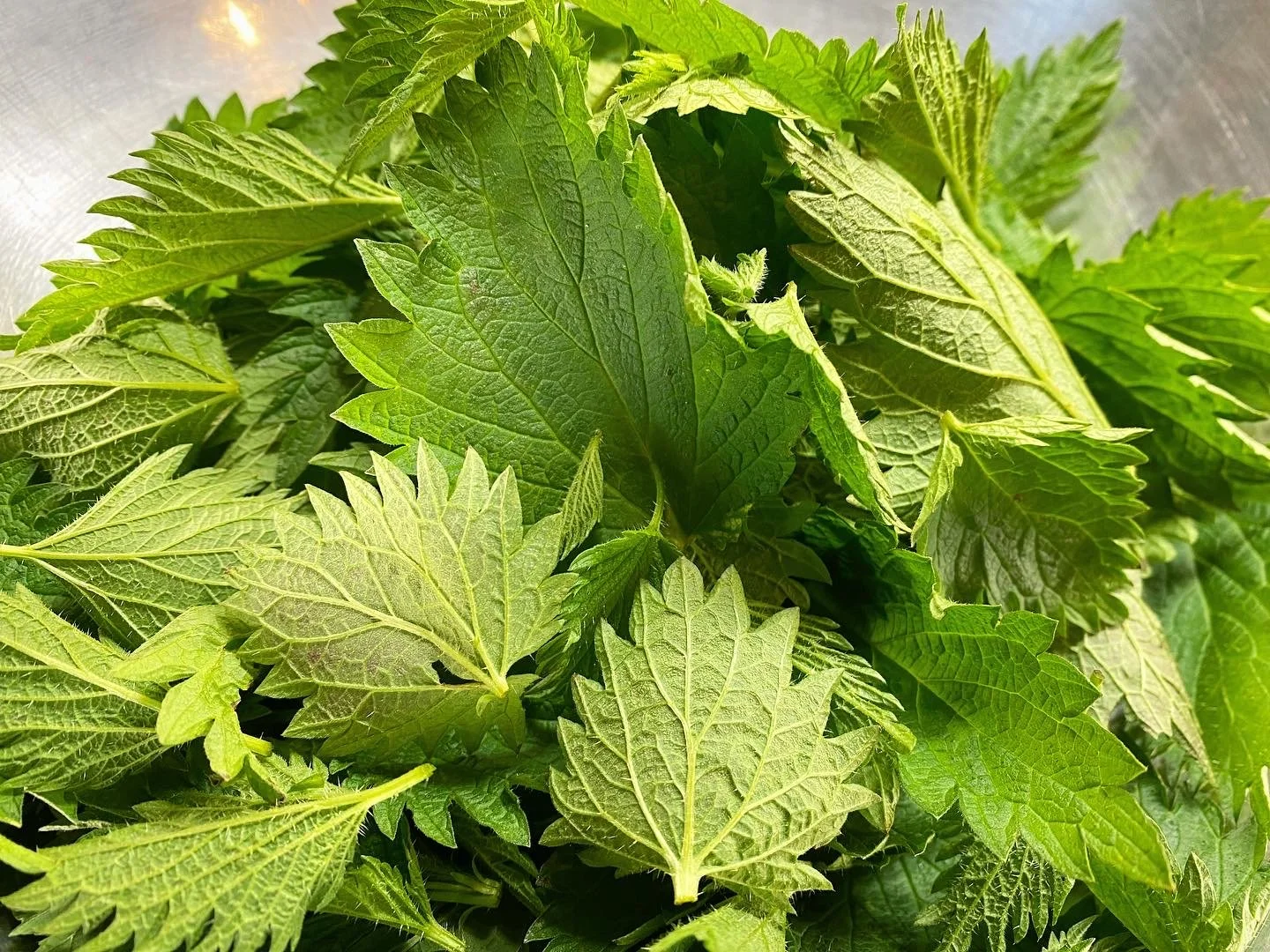 Nourishing Spring Practices