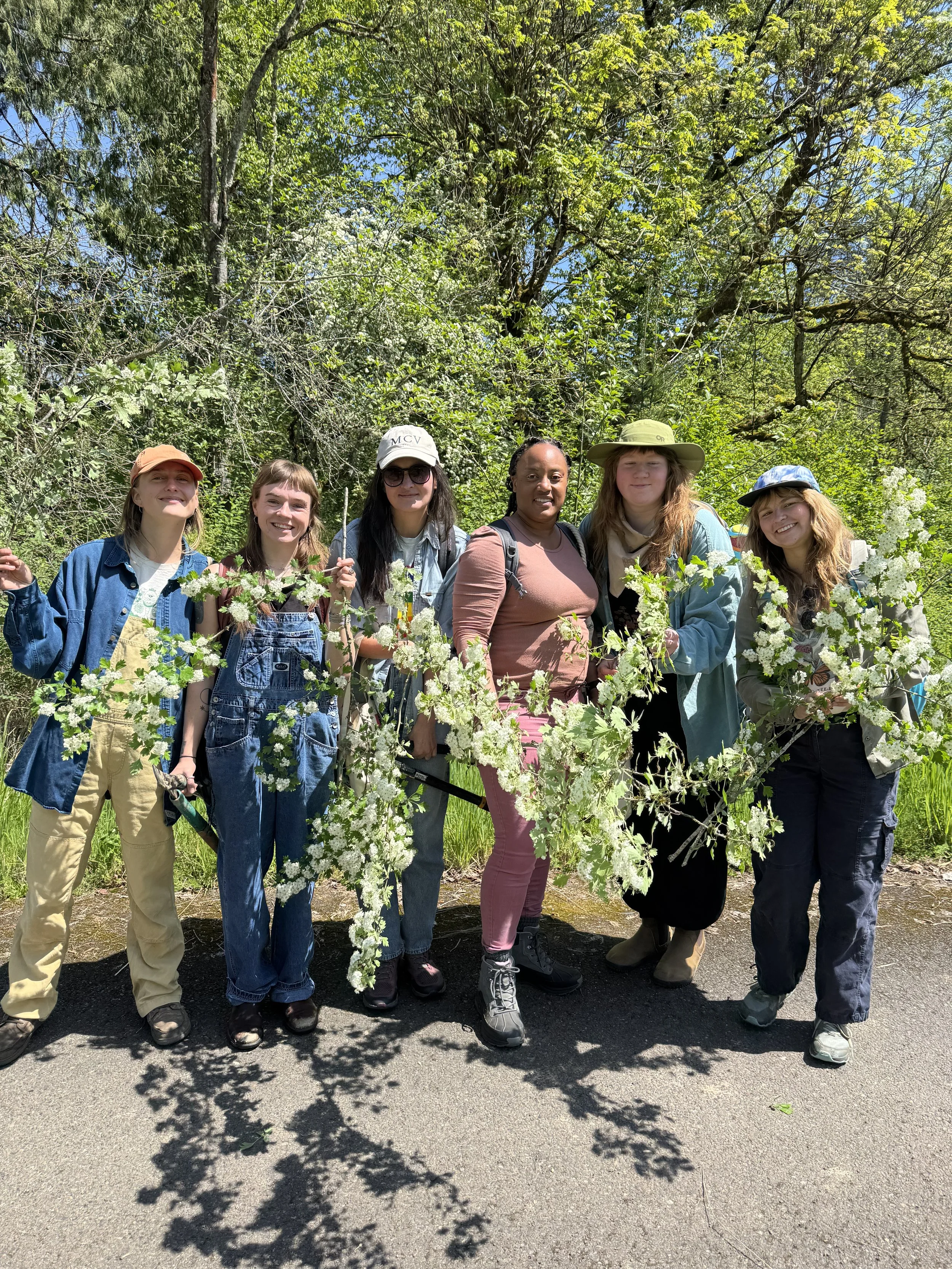 Register for the Herbal Immersion Program 2026!