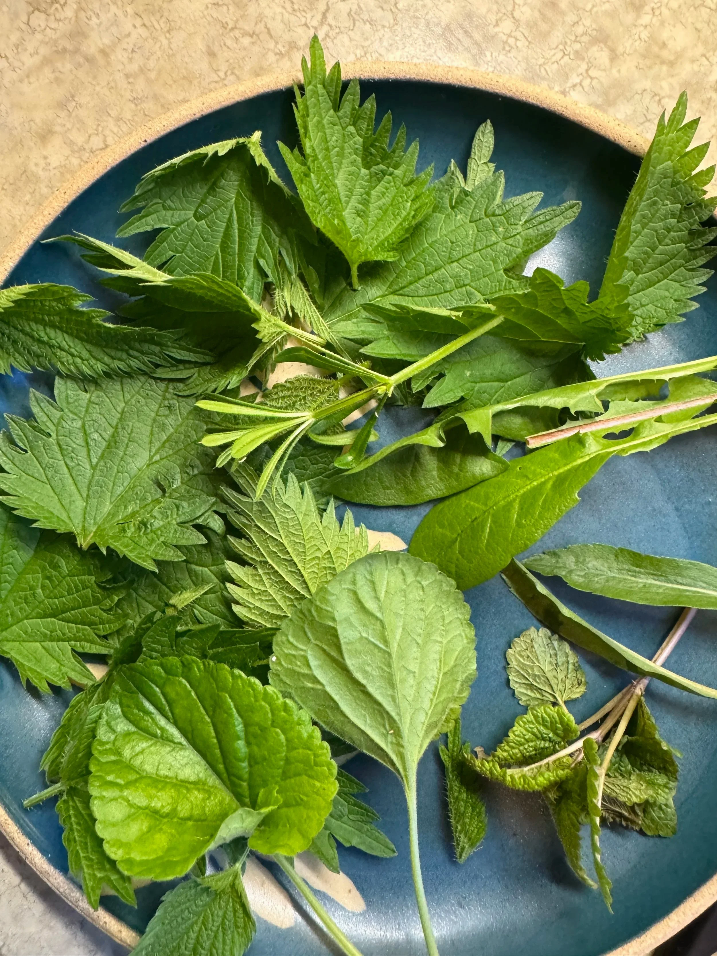 Aftercare for Chemical Weapons Exposure: Free!