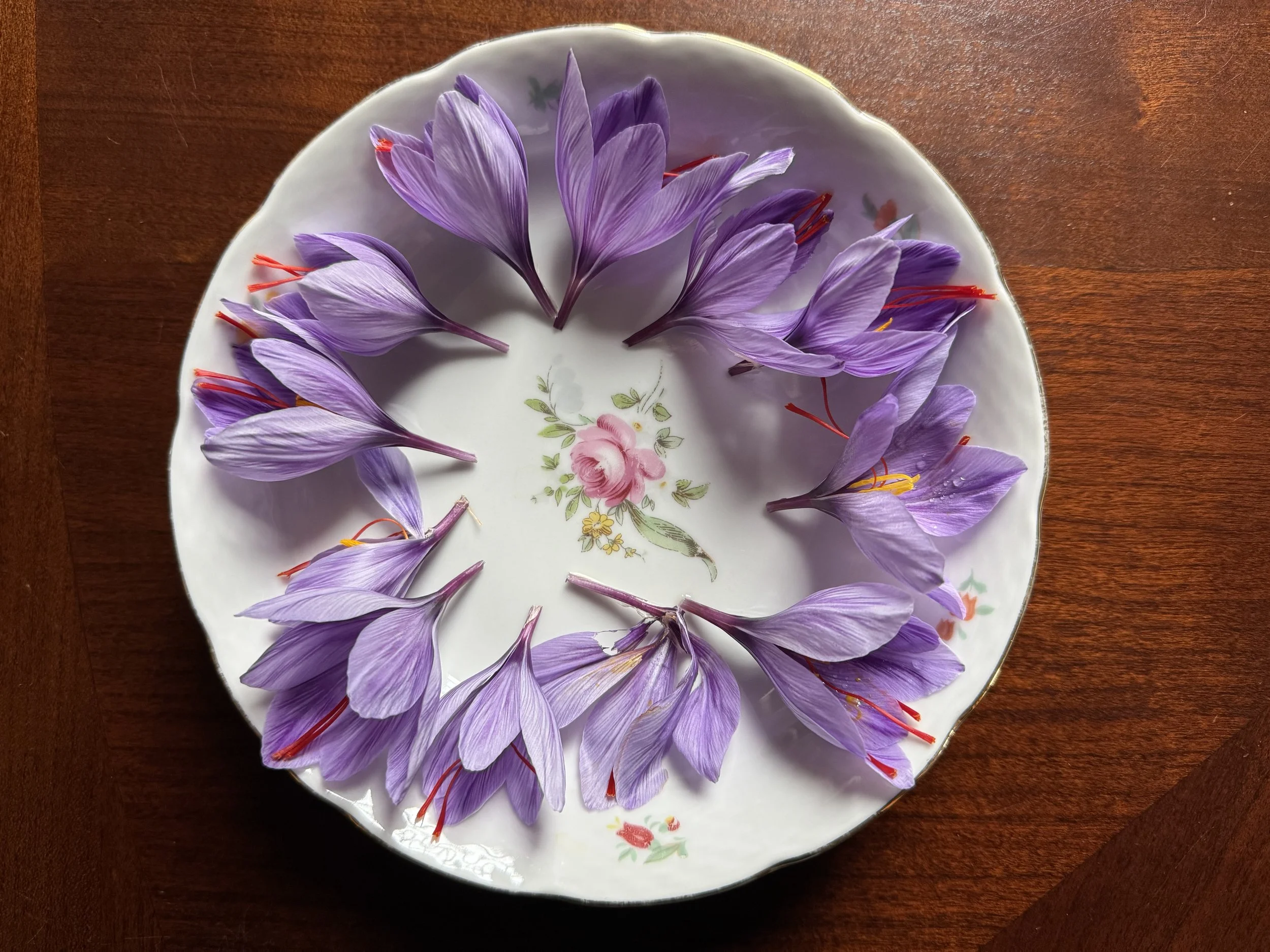 Uplifting Herbs for Hard Times