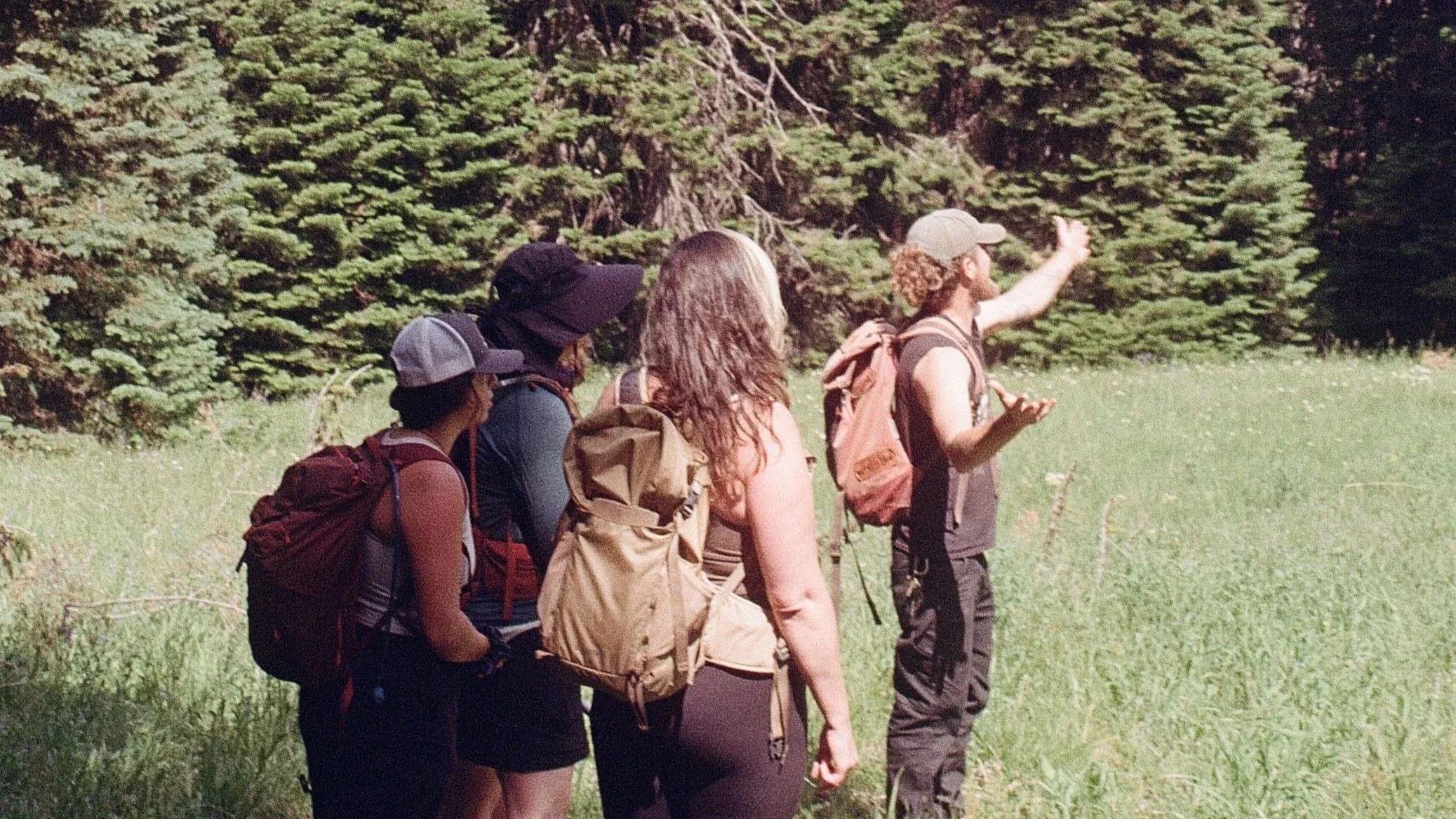 A group of five hikers with backpacks and hats walking in a forested area, with a large tree and green foliage in the background.