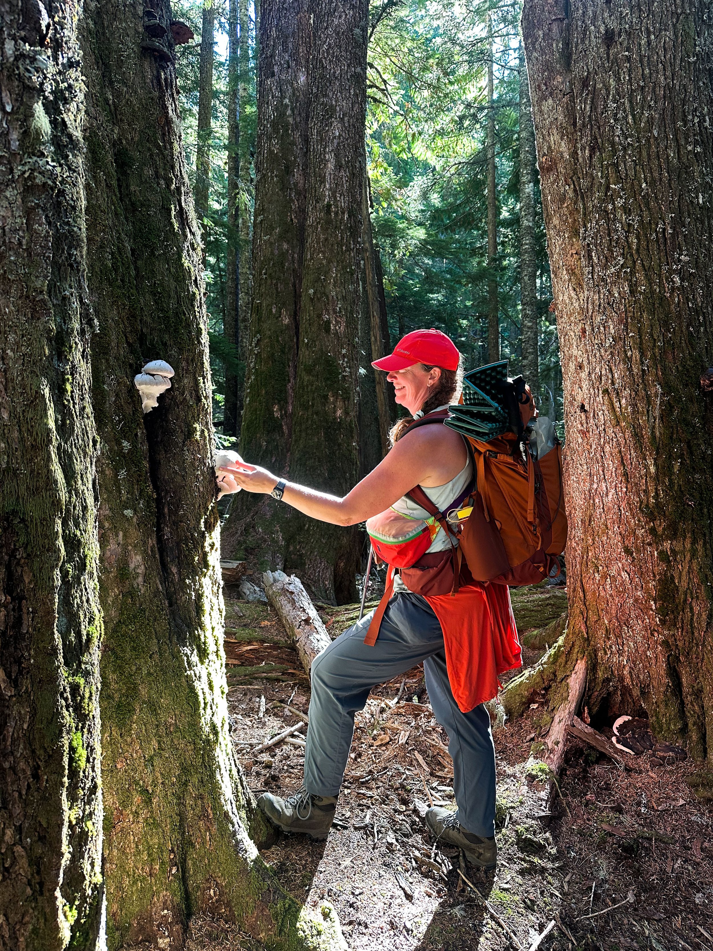 A woman in a red cap and hiking gear kneeling beside a large tree, examining or collecting something. She is in a dense forest with tall trees and a trail covered in leaves and roots.