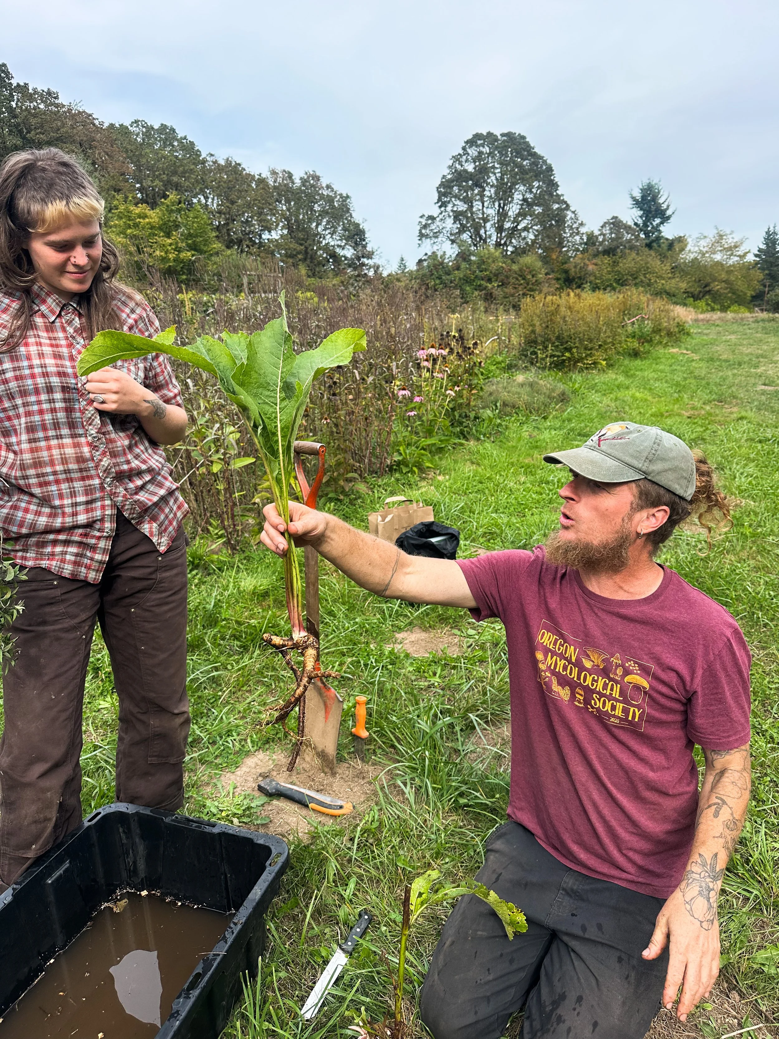 A person kneeling on the grass offering a young plant to a woman standing nearby. The woman is smiling and looking at the plant, while the person on the ground is holding the plant with the roots in a container. The scene is outdoors in a garden or farm with trees and plants in the background.
