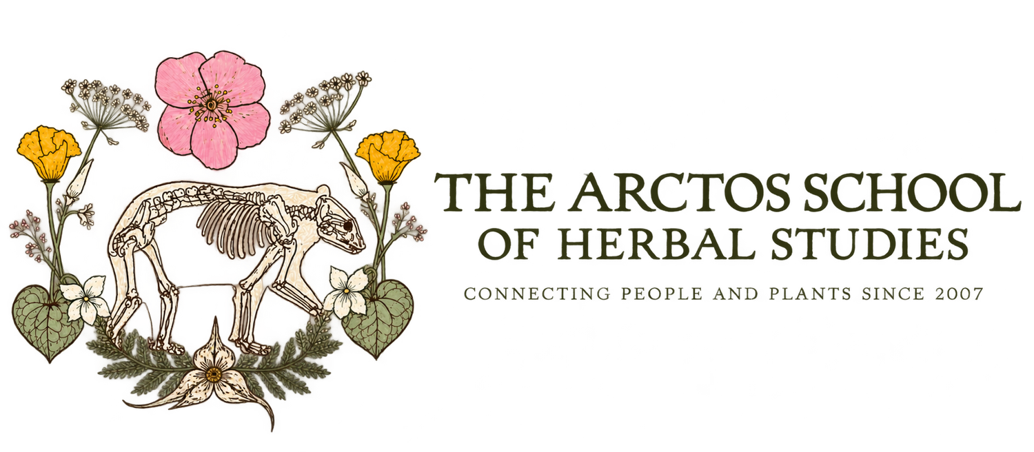 The Arctos School of Herbal Studies