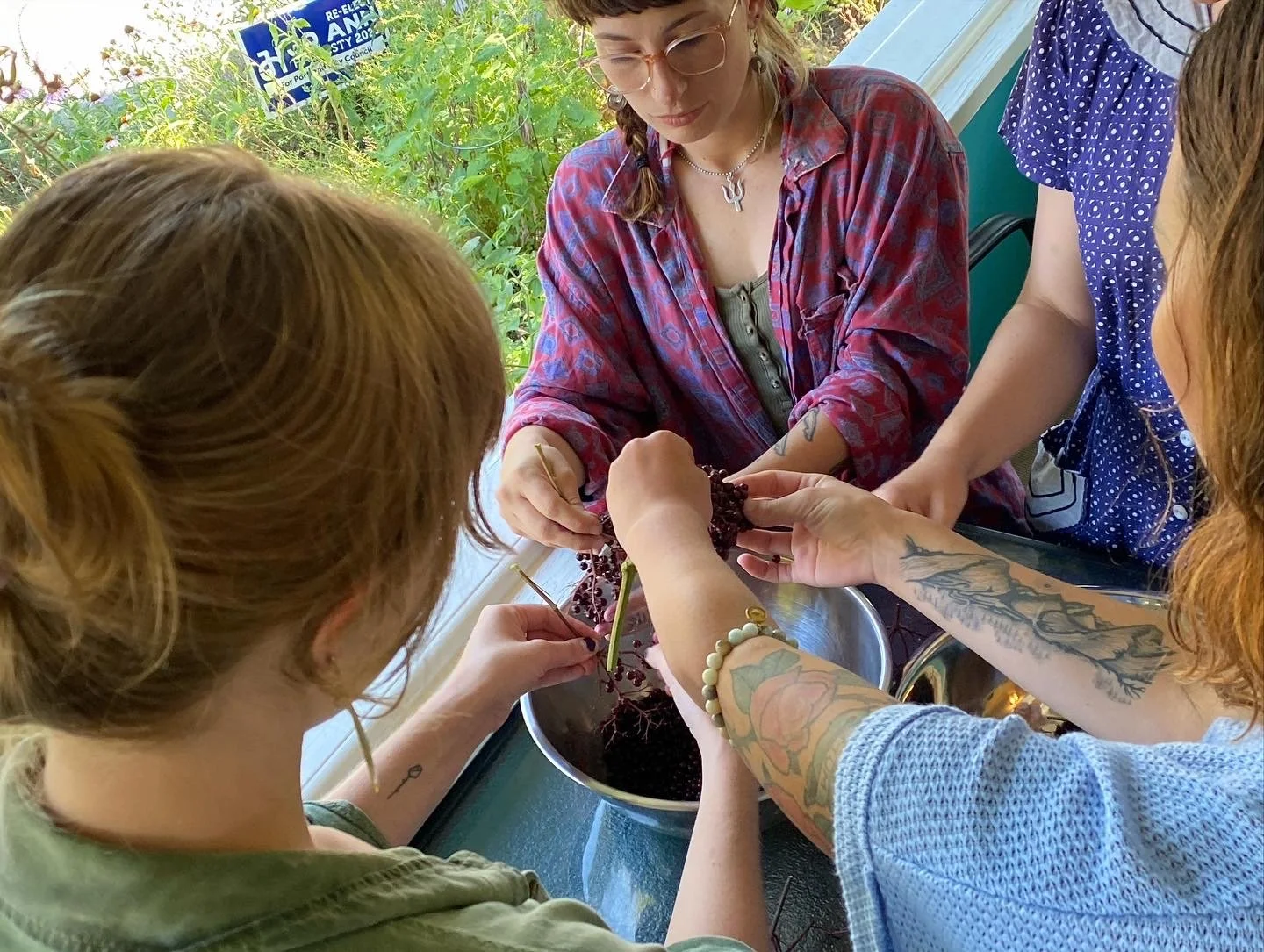 a group of tattooed herbalists garbling elderberries into a bowl