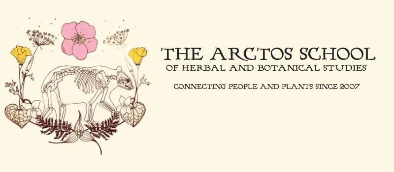 The Arctos School of Herbal Studies