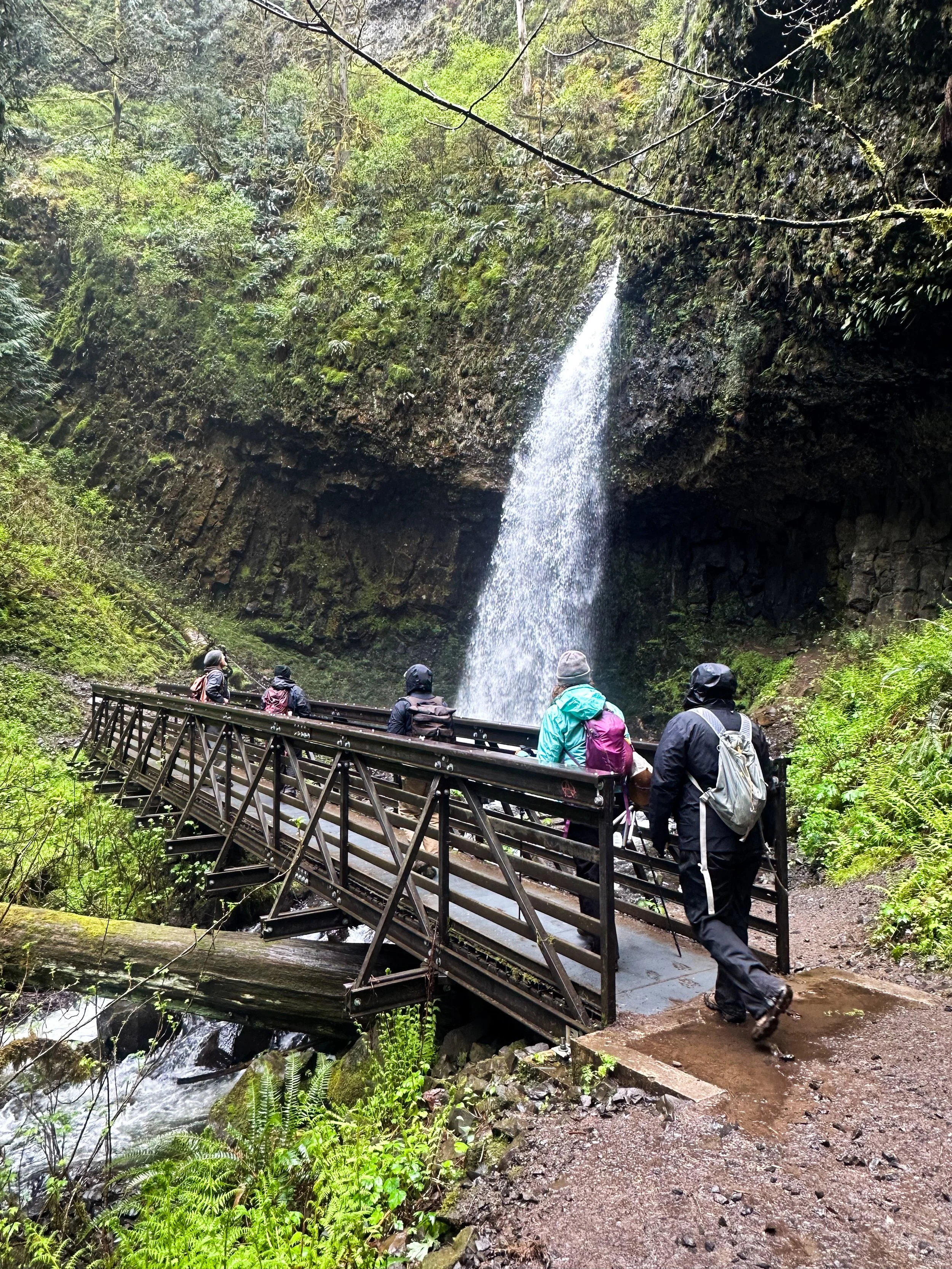 People walking along a narrow trail next to a waterfall in a lush green forest, with a metal bridge crossing a stream.