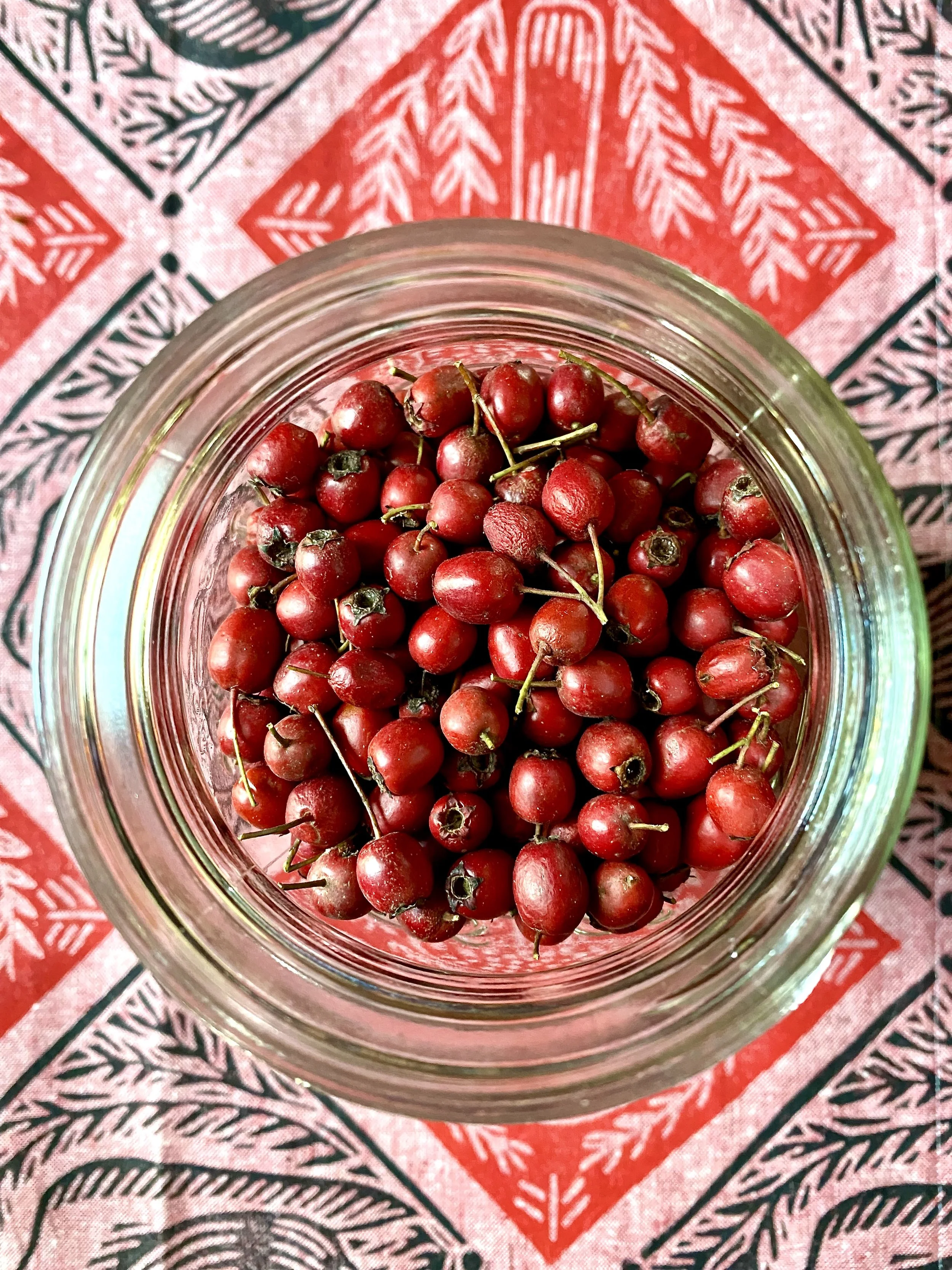 red hawthorn berries in a mason jar on a colorful table cloth