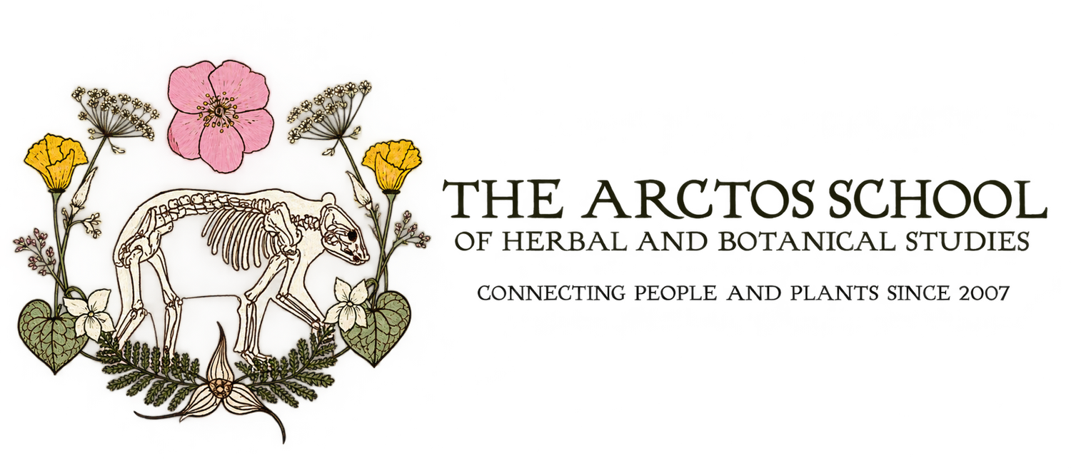 The Arctos School of Herbal Studies