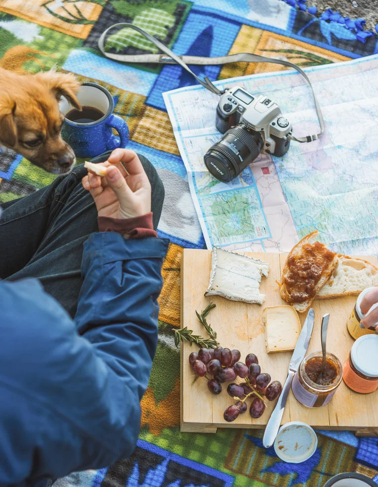 Man mapping his trip while drinking coffee and eating with dog