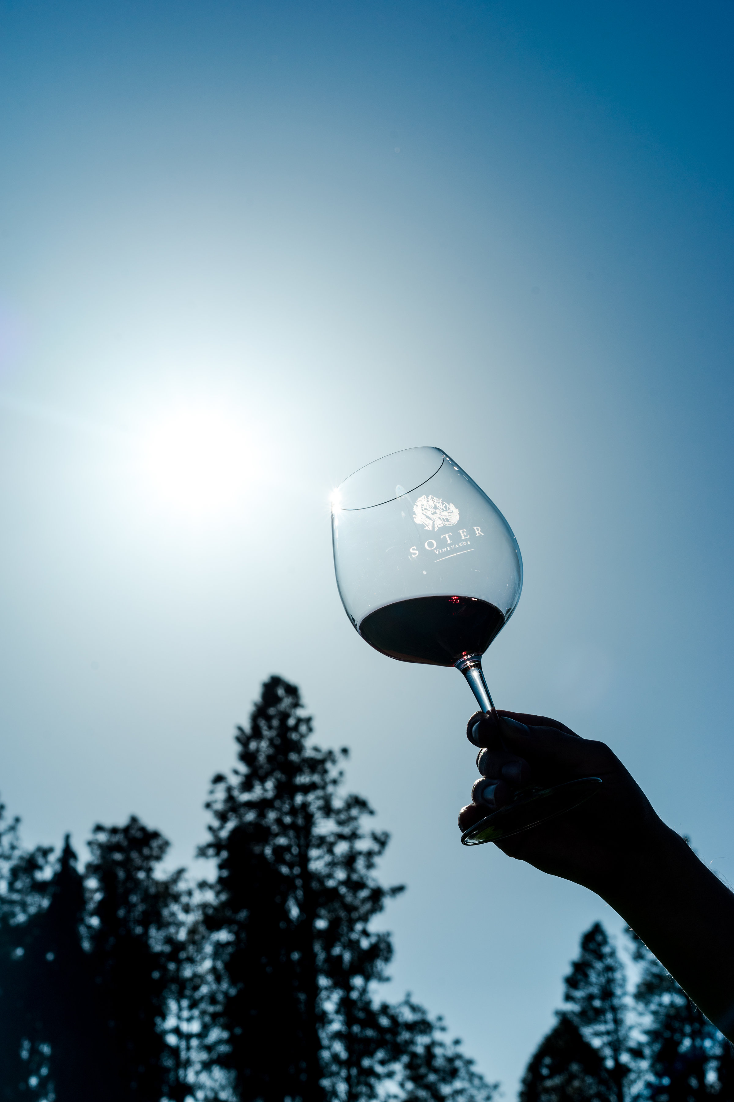 12 Michelle-McSwain-Photography-Wine-Sun.jpeg