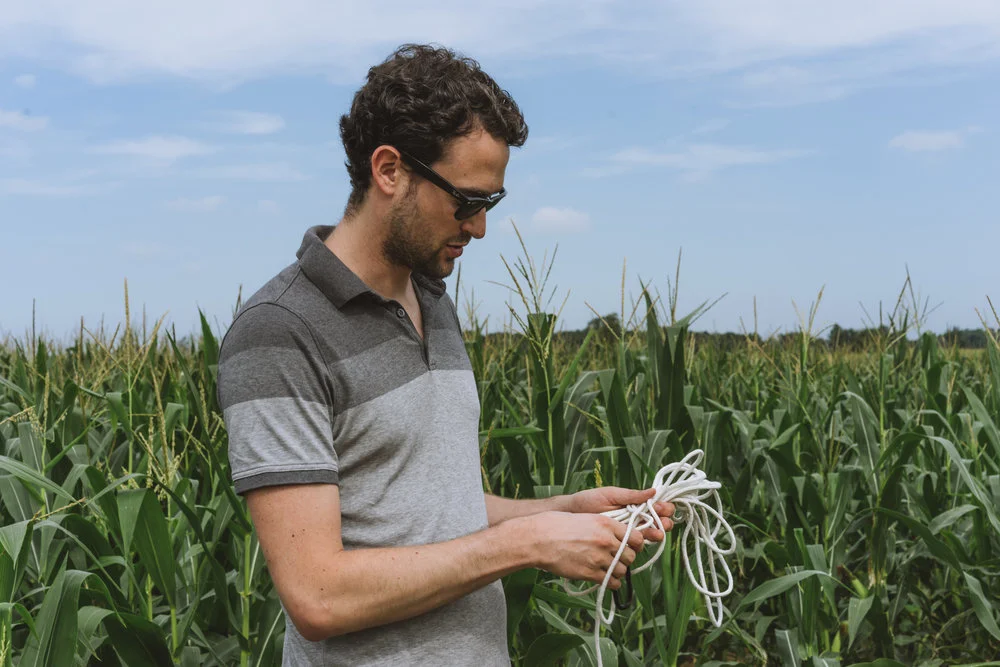 Attractive man in corn field in midwest