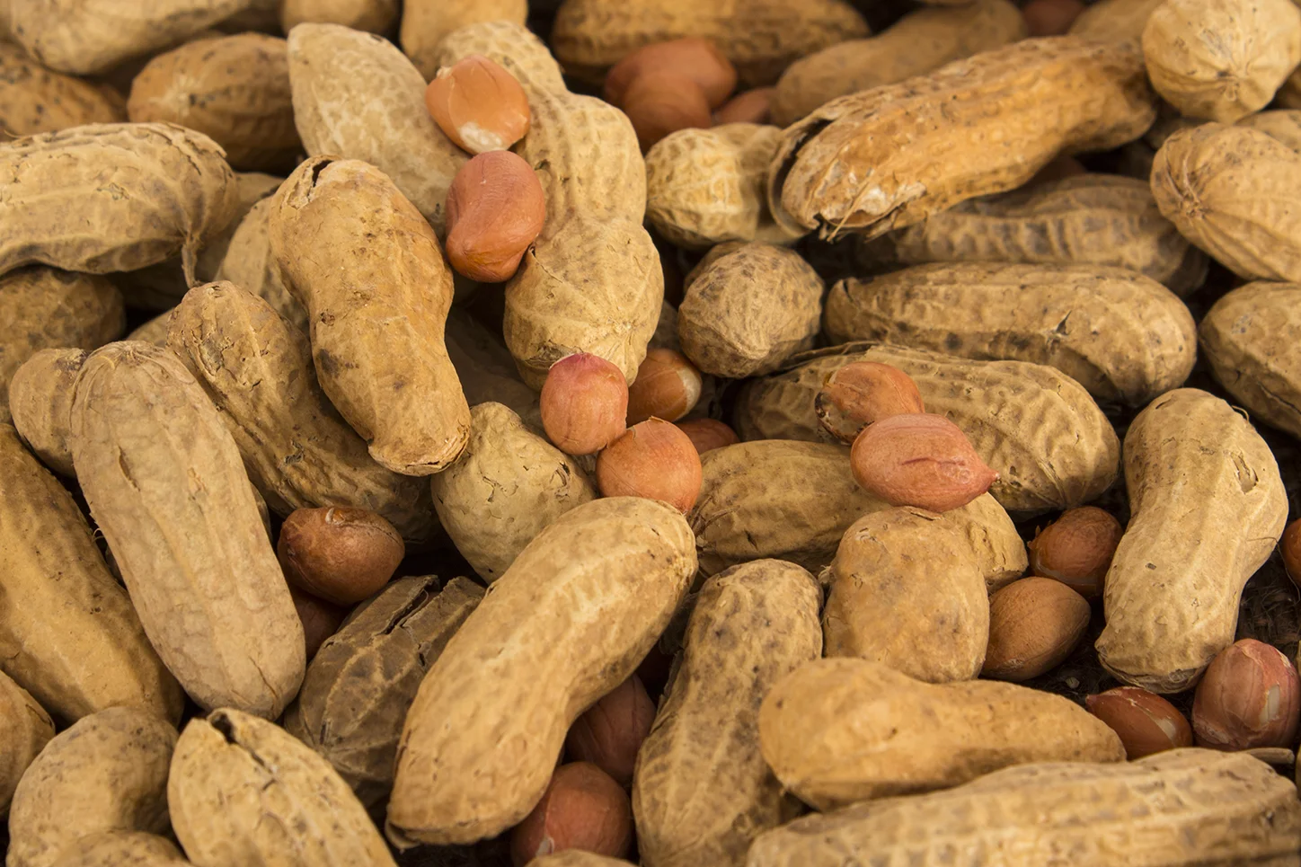 Girard_Peanut_4076_WB.jpg