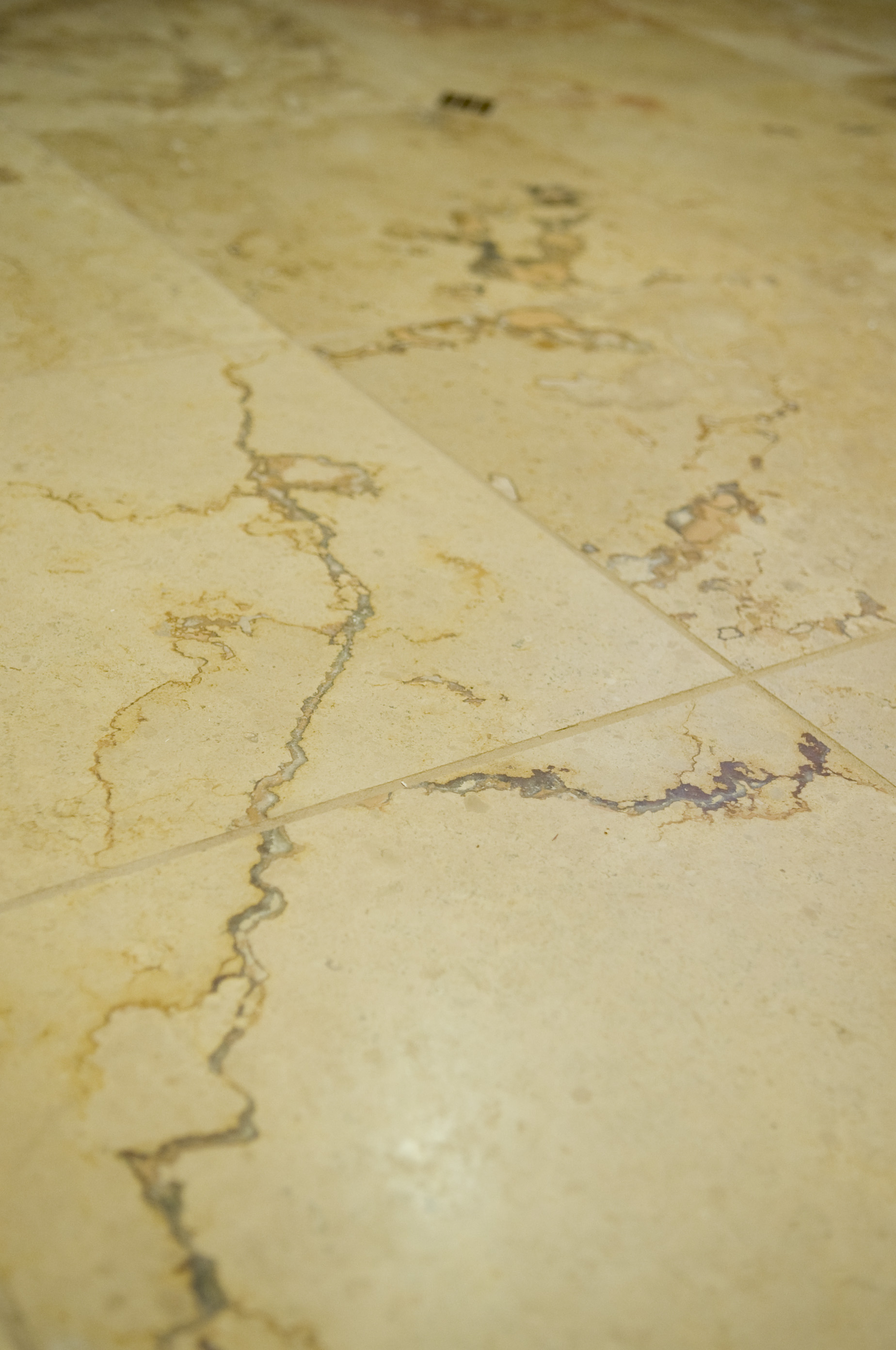 Copy of Leber Residence - Basement Bath Floor Detail.jpg