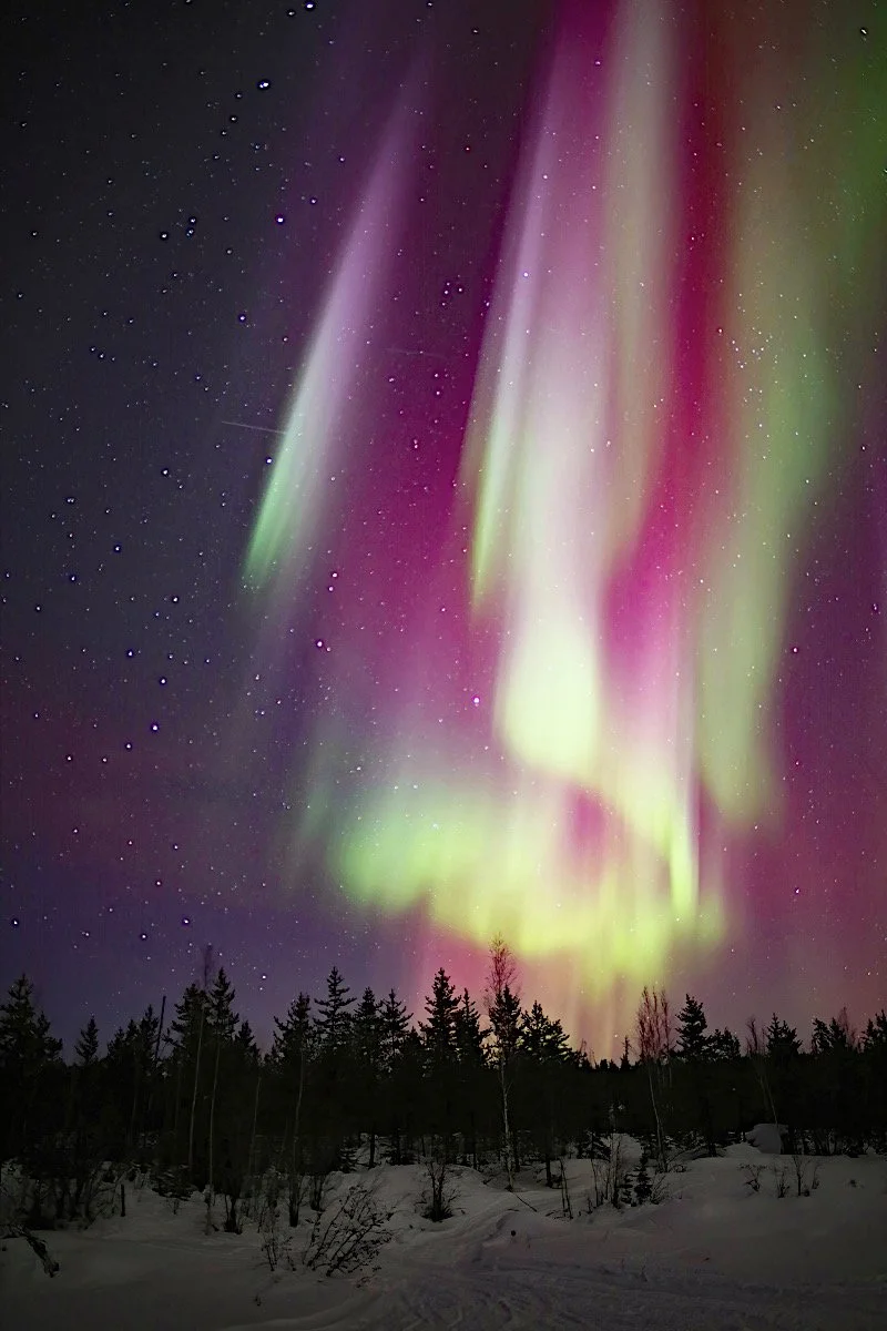 ••••Aurora Tubular.jpg