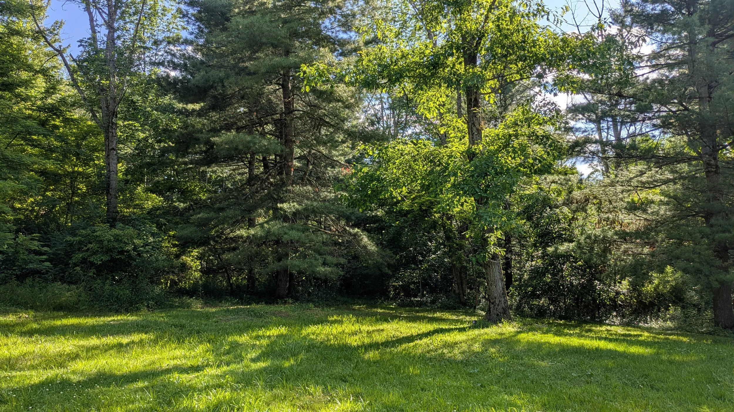 PXL_20260623_220051805.jpg