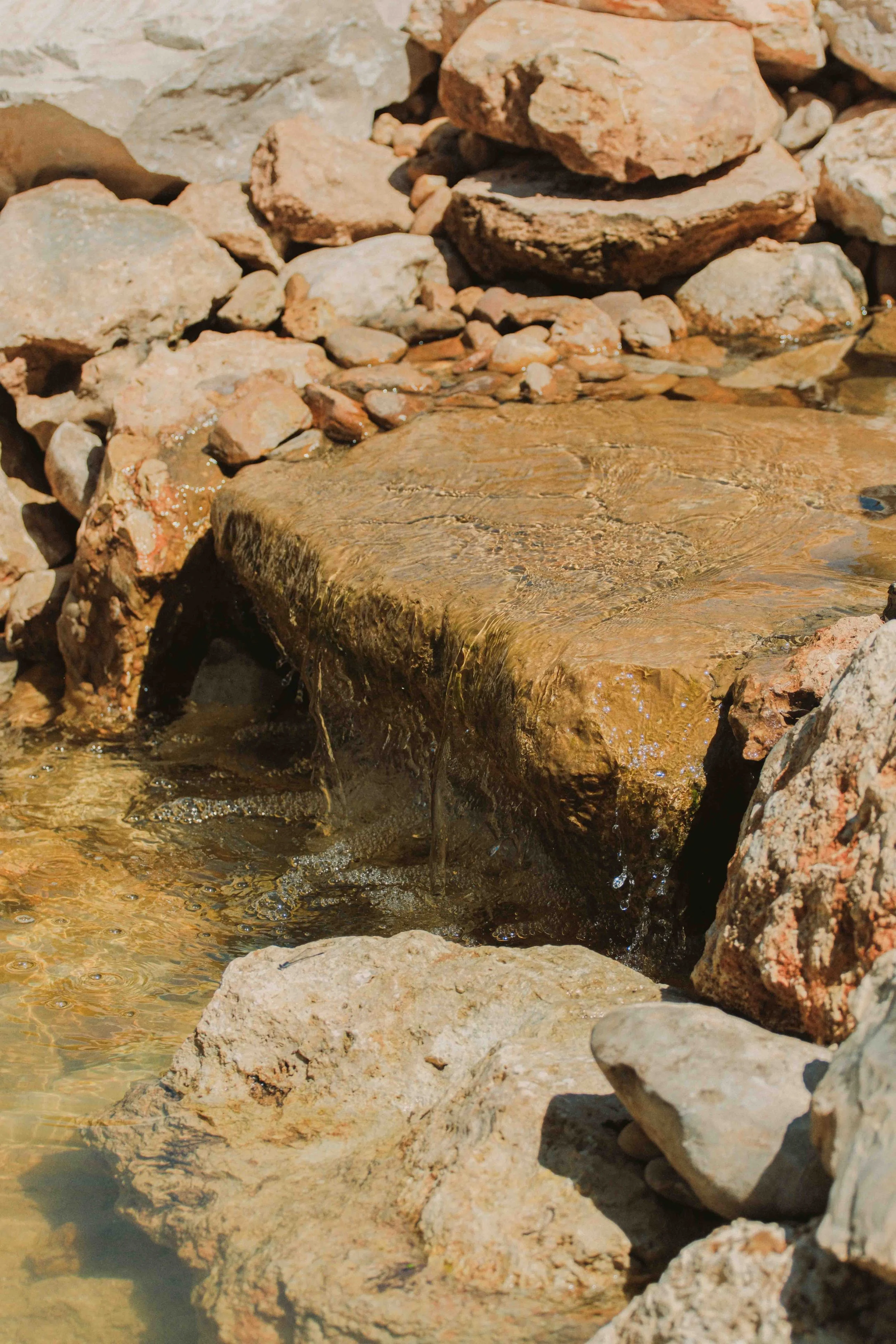 DSCF0539-3.jpg