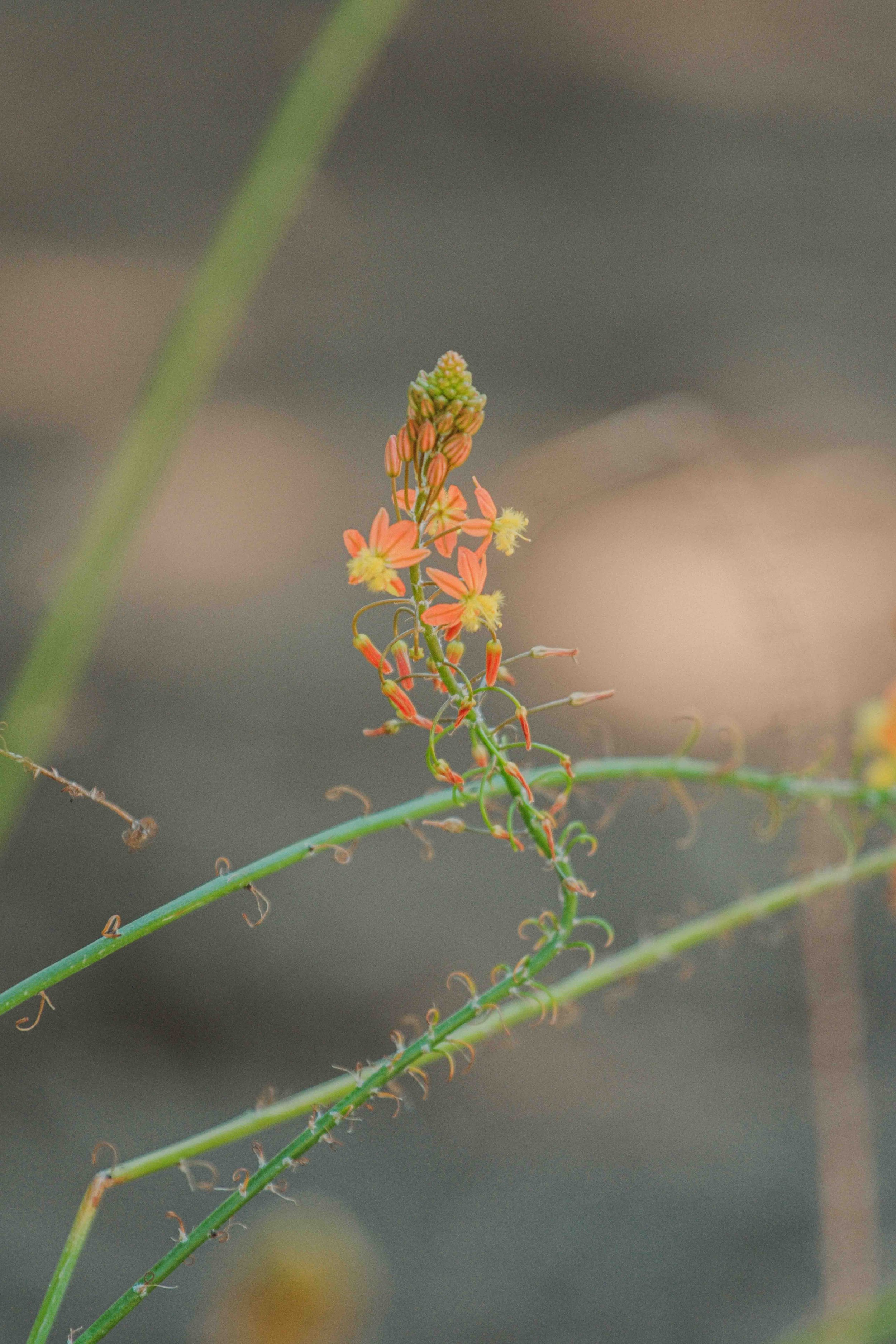 DSCF0509-3.jpg