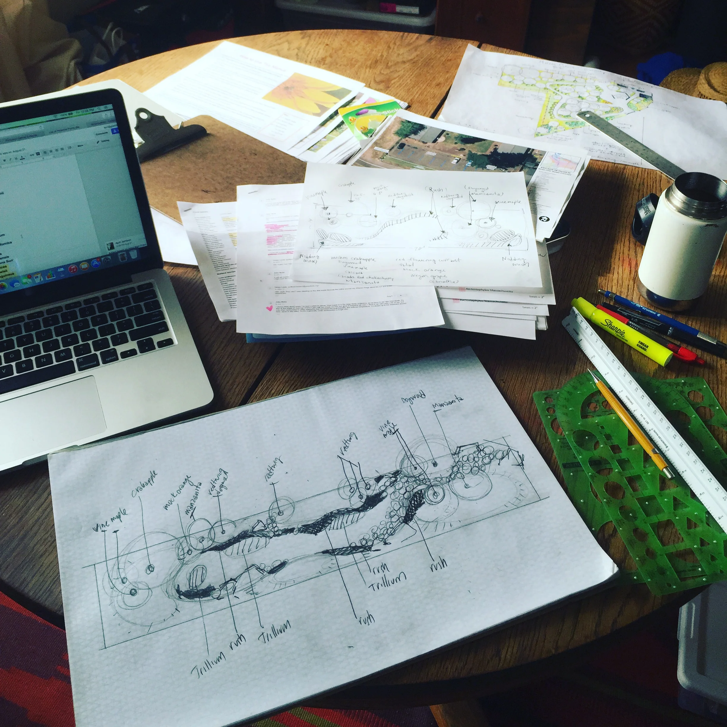 Developing a concept design for line, pattern, and canopy layers