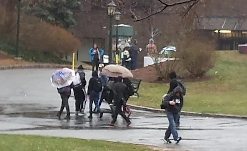      

 
    End of Semester Storm Relocates Classes     News    Jan 27, 2015   By Katie Muller  Staff Writer  The Fall 2014 semester ended with a blunt reminder of Mother Nature’s stormy strength. On Dec. 9, the excessive rain unleashed multiple lea