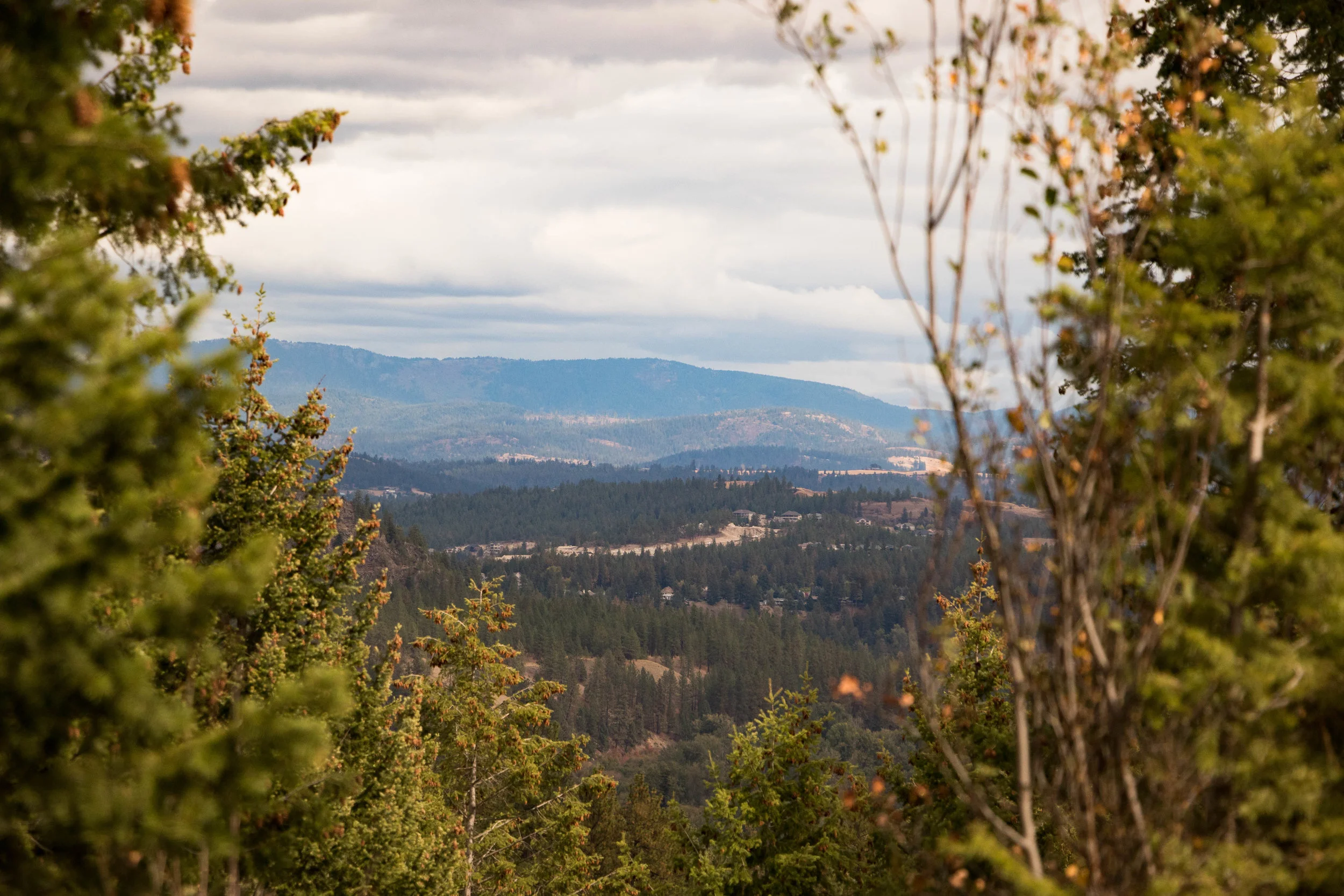 Contact — BLUE HERON ESTATES