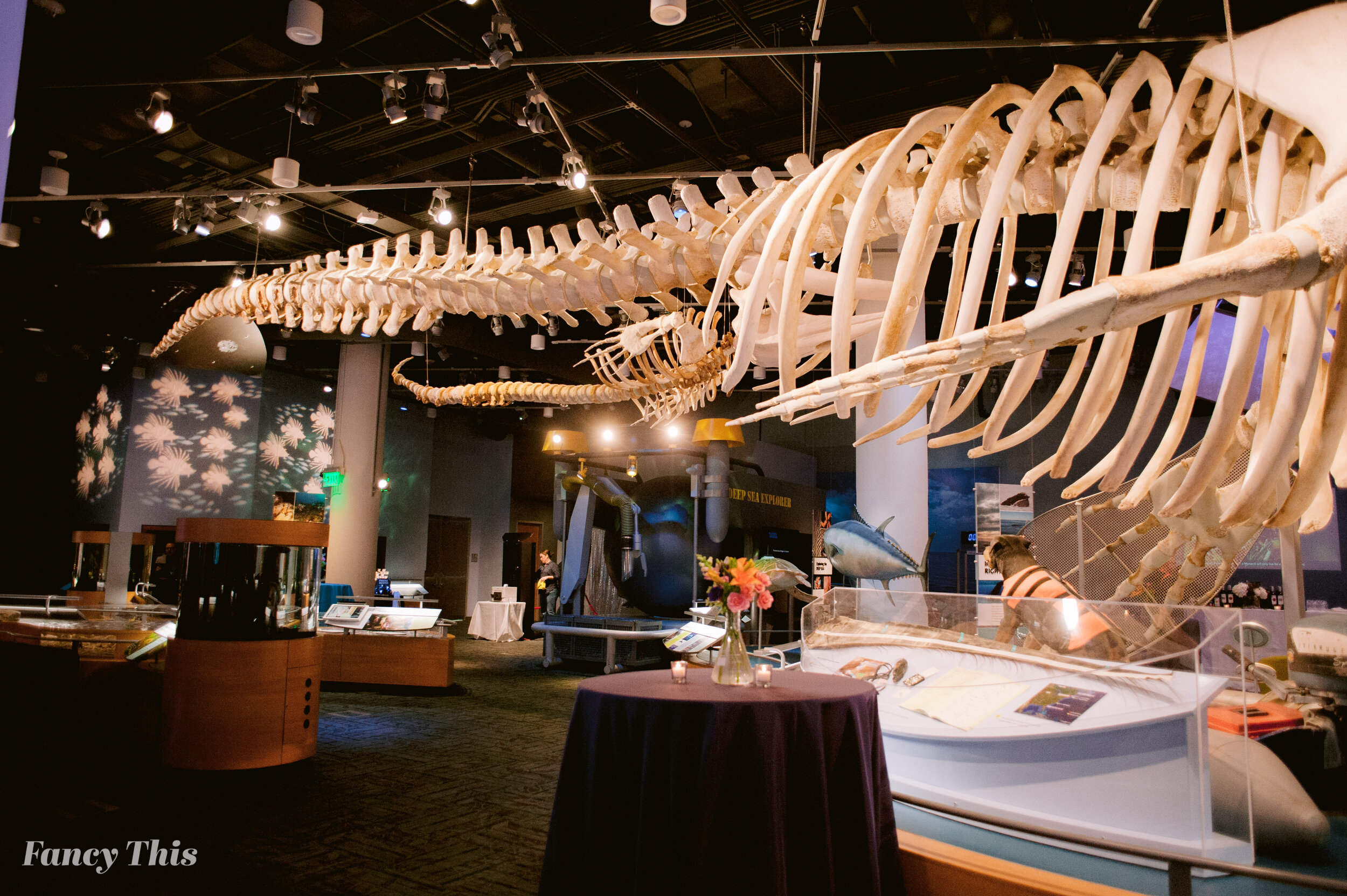 02112020_museumofnaturalscienceraleighevent_fancythisphotography_angelaproffitt-16.jpg