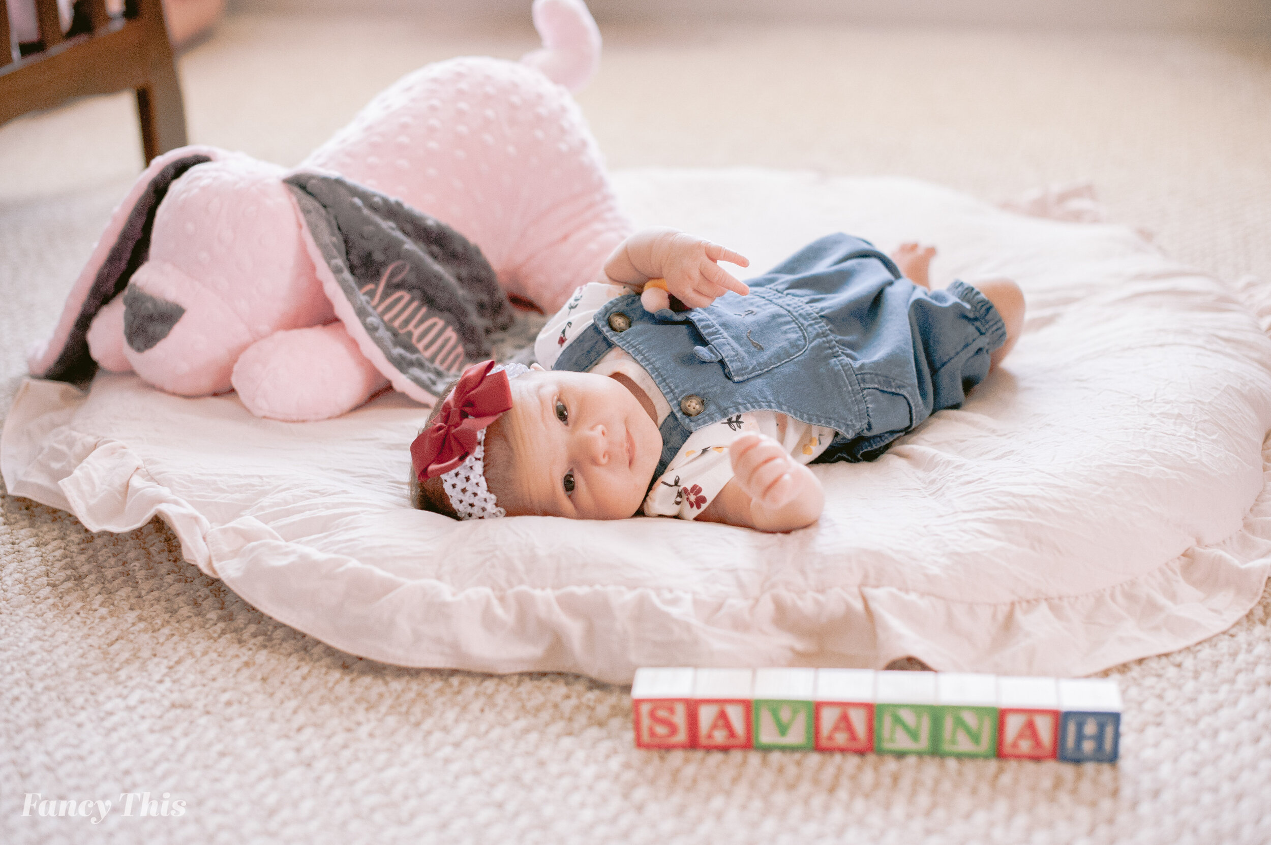 williamstonfamilyphotographer_greenvillencfamilyphotography_frontporchsession-61.jpg