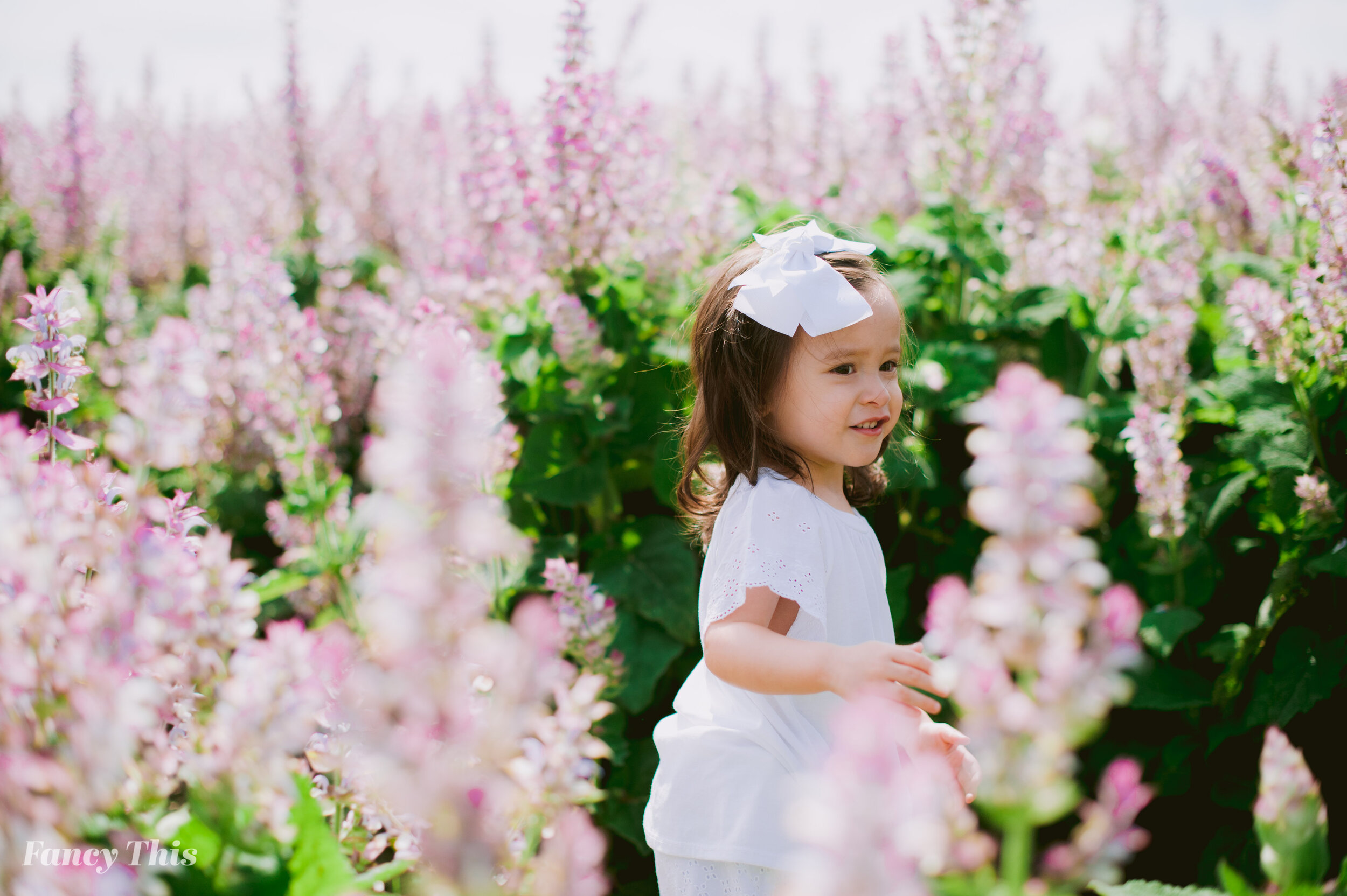 greenvillefamilyphotographer_outerbanksfamilyphotographer_sagefarmfamilysession_raleighfamilyphotographer-73.jpg