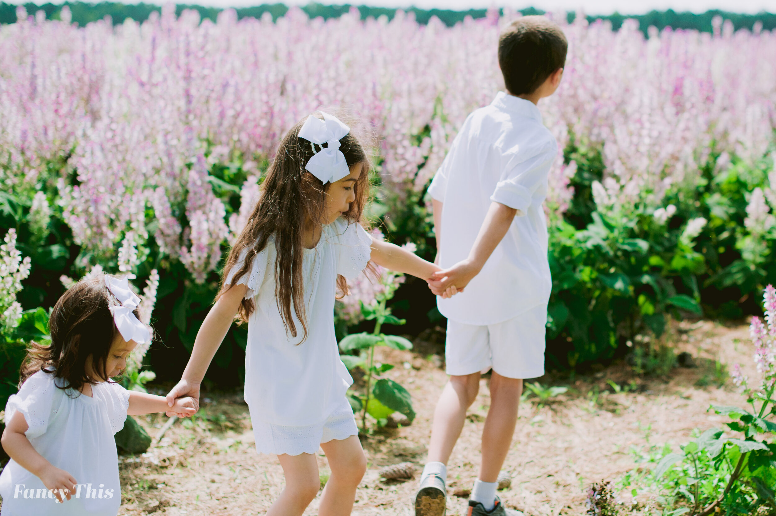 greenvillefamilyphotographer_outerbanksfamilyphotographer_sagefarmfamilysession_raleighfamilyphotographer-113.jpg